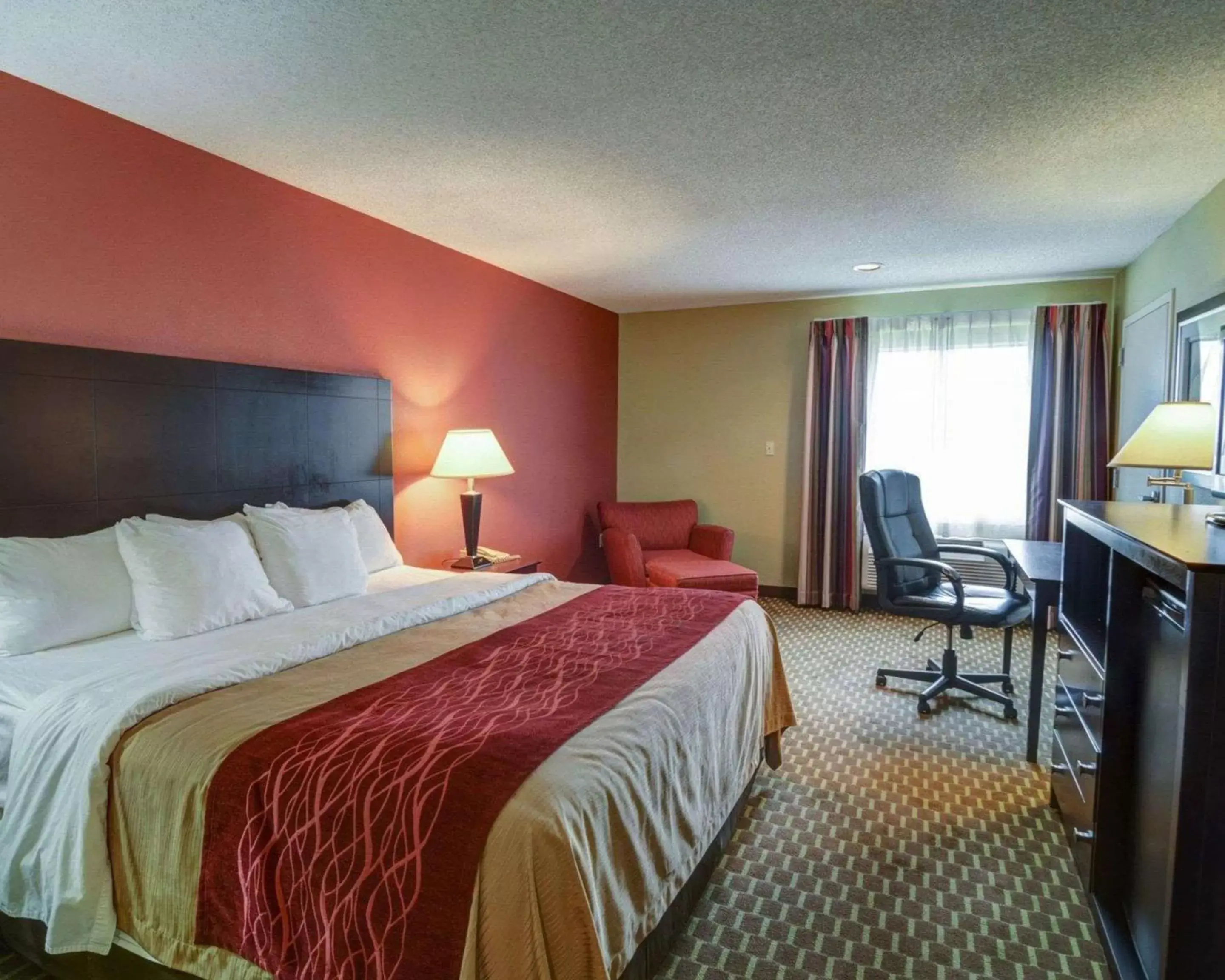 Photo of the whole room, Bed in Quality Inn & Suites Pine Bluff AR