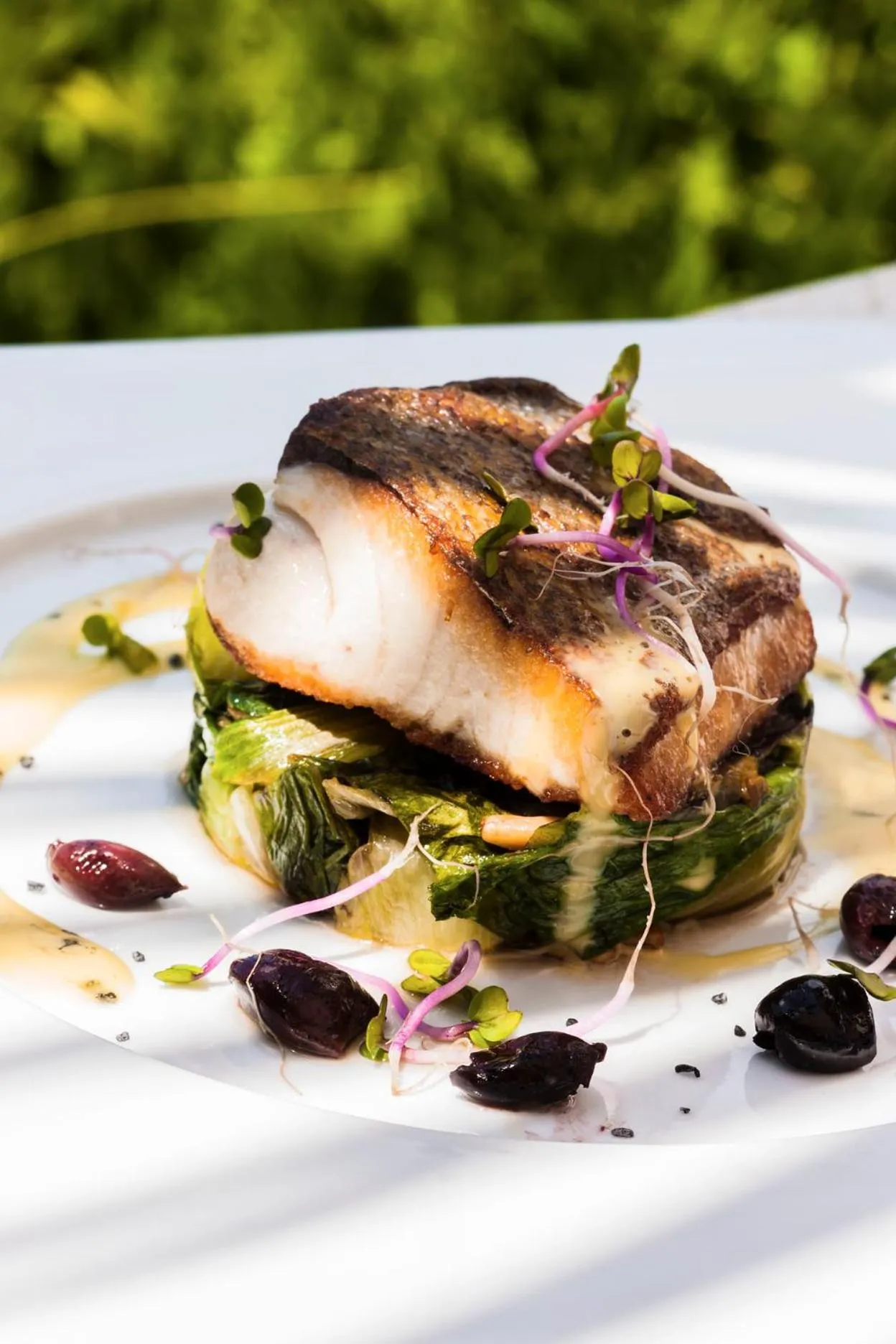 Food and drinks in Grand Hotel Cocumella