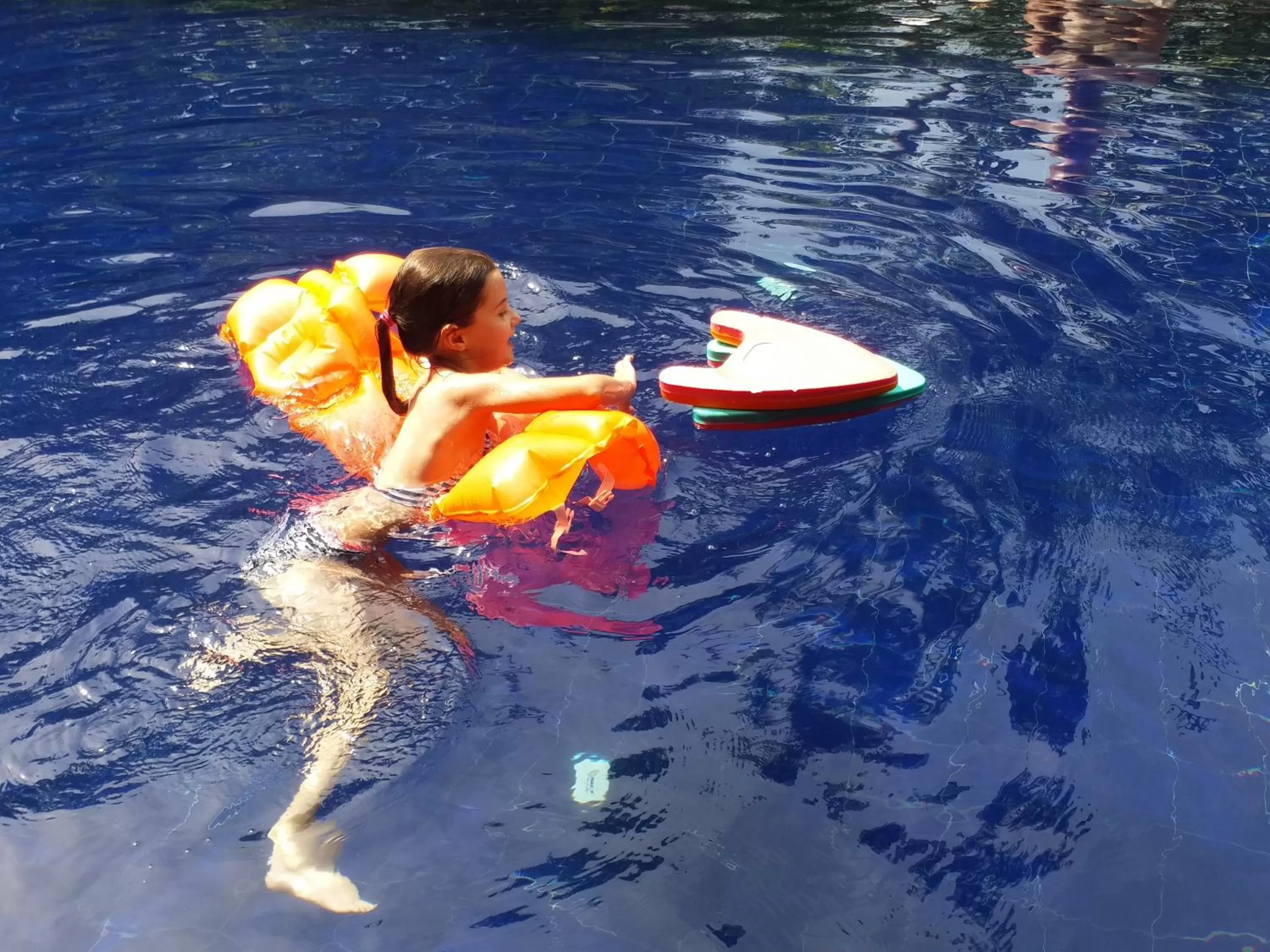 Swimming pool in Honey Tree Polonnaruwa