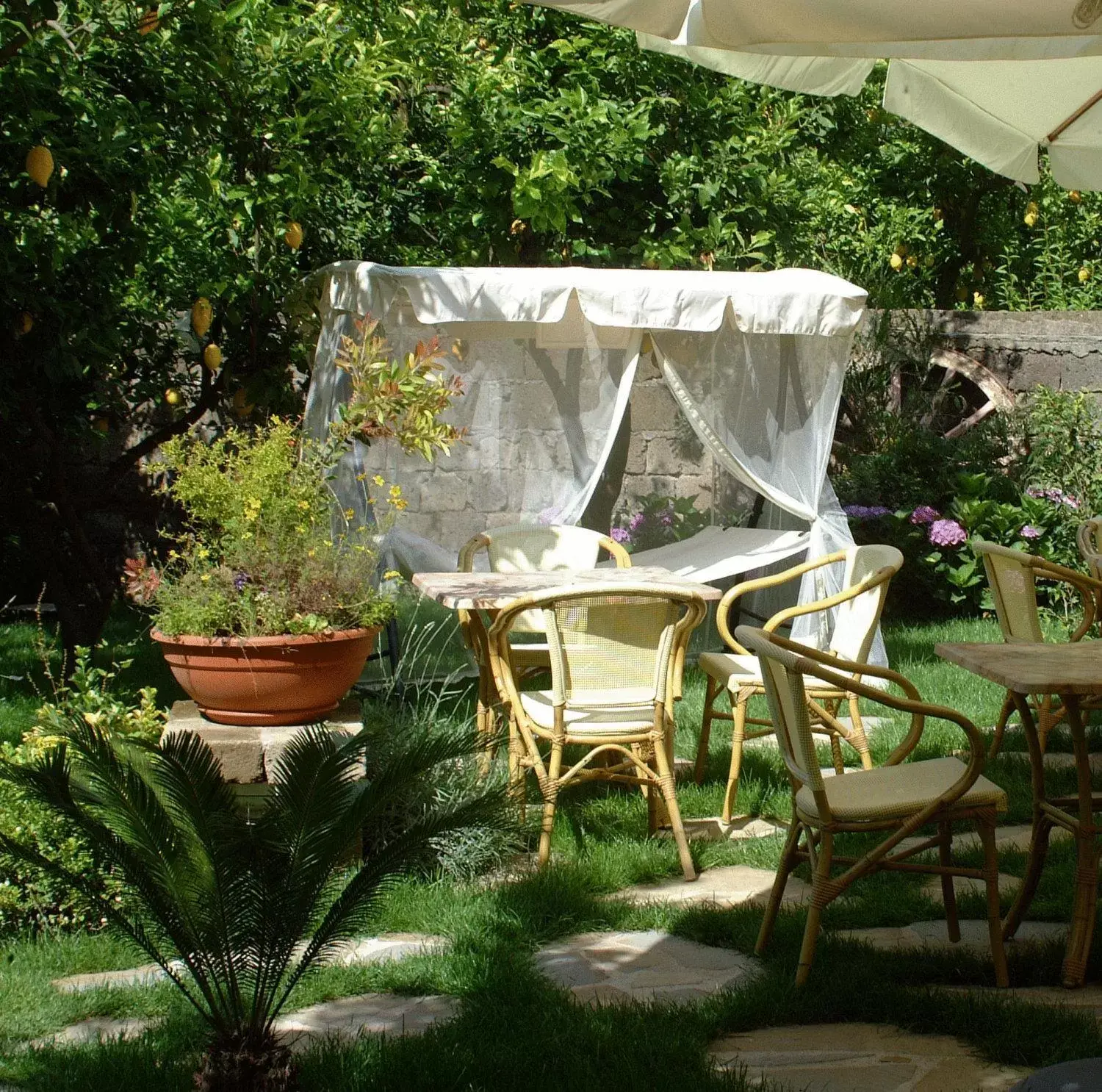 Garden in Il Roseto