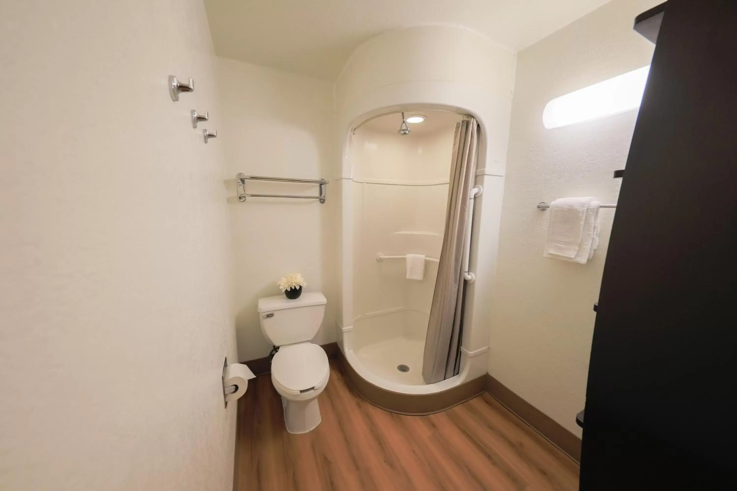 Shower, Bathroom in The Jackson SouthTown Motel
