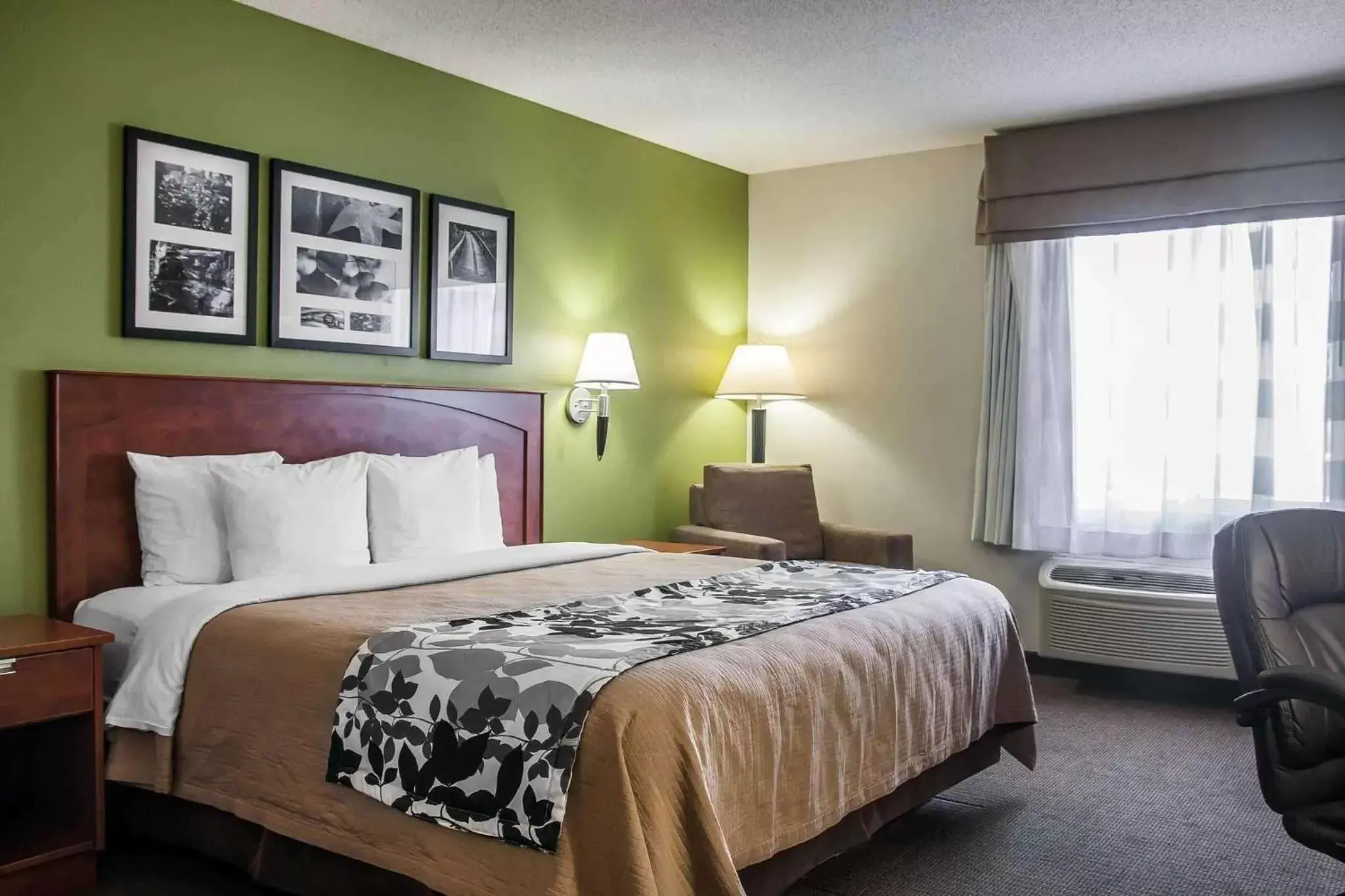 King Suite - Accessible/Non-Smoking in Sleep Inn & Suites Conference Center and Water Park