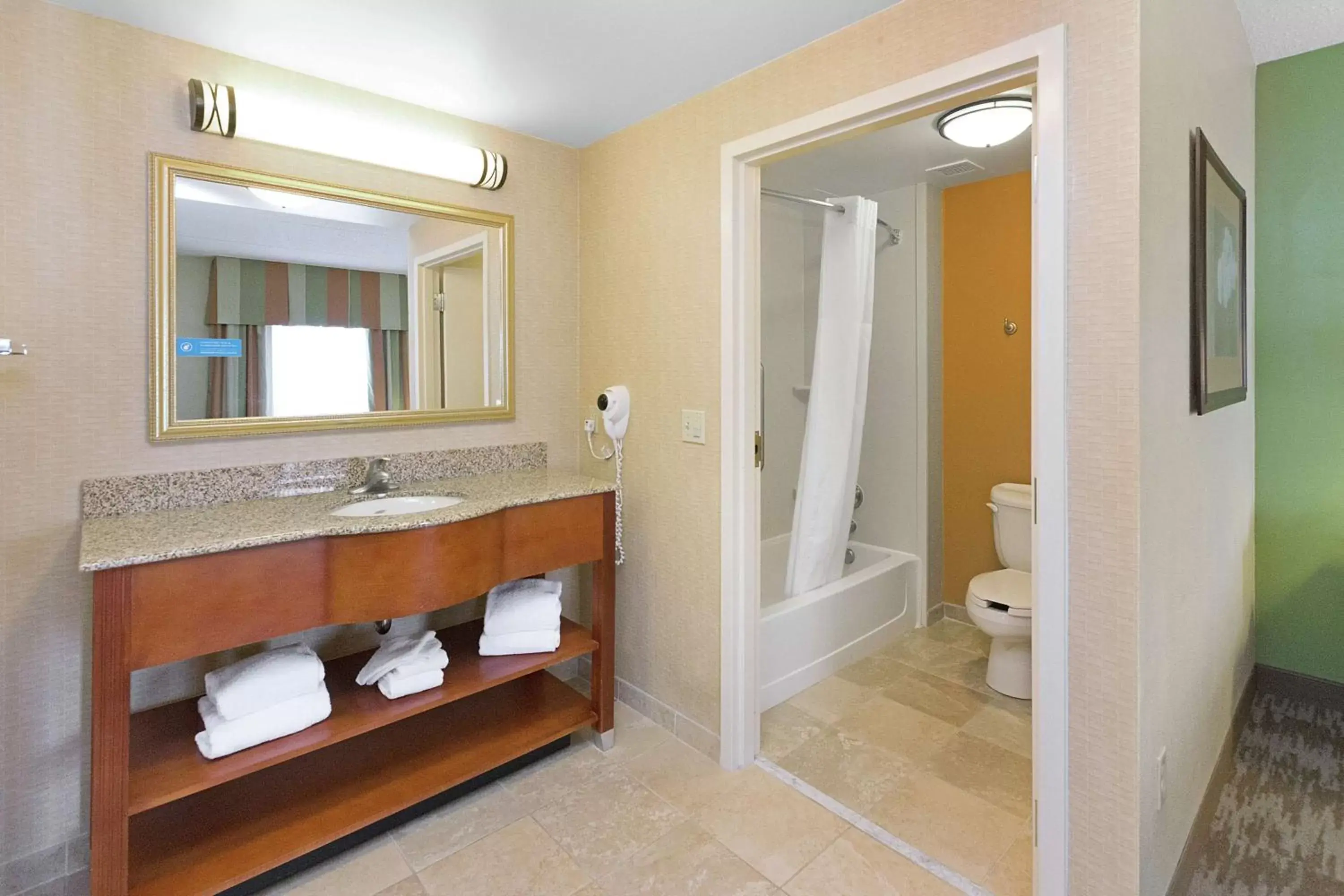 Bathroom in Hampton Inn & Suites Blairsville