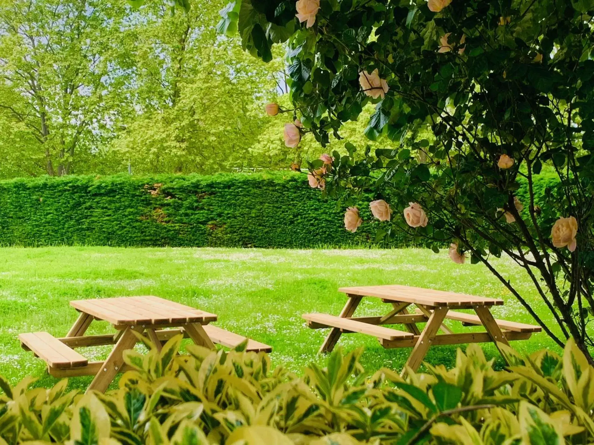 Patio, Garden in The Originals Access, Hôtel Innostar