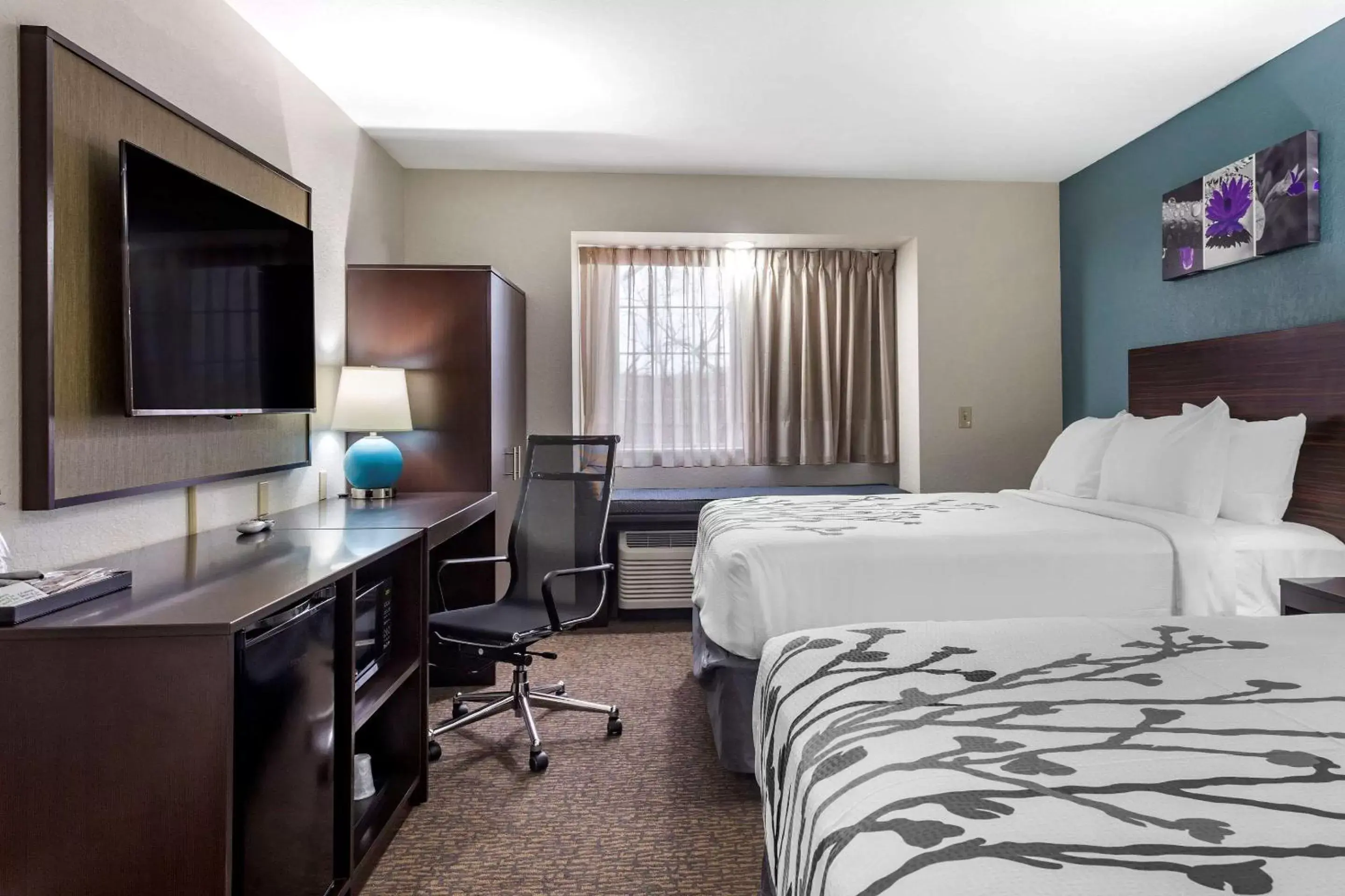 Photo of the whole room, TV/Entertainment Center in Sleep Inn St. Robert-Fort Leonard Wood