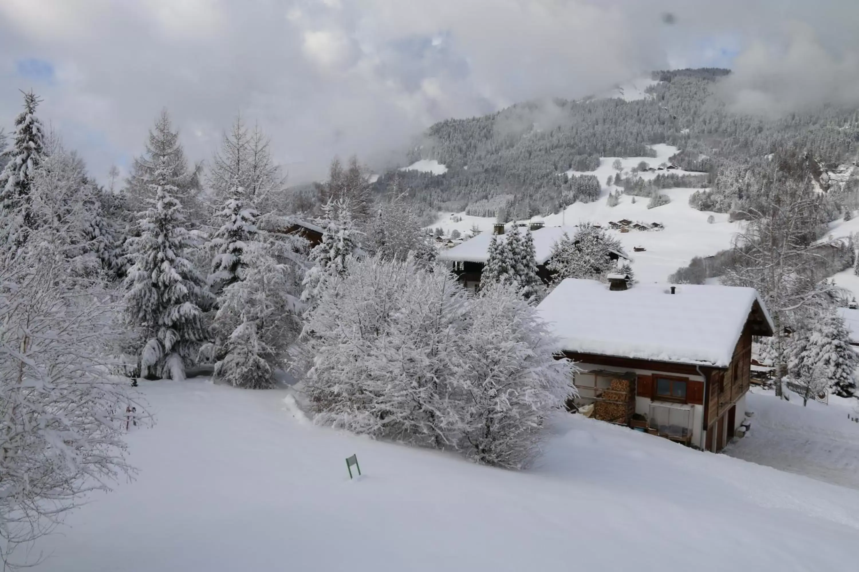 View (from property/room), Winter in La Résidence de L'Ours