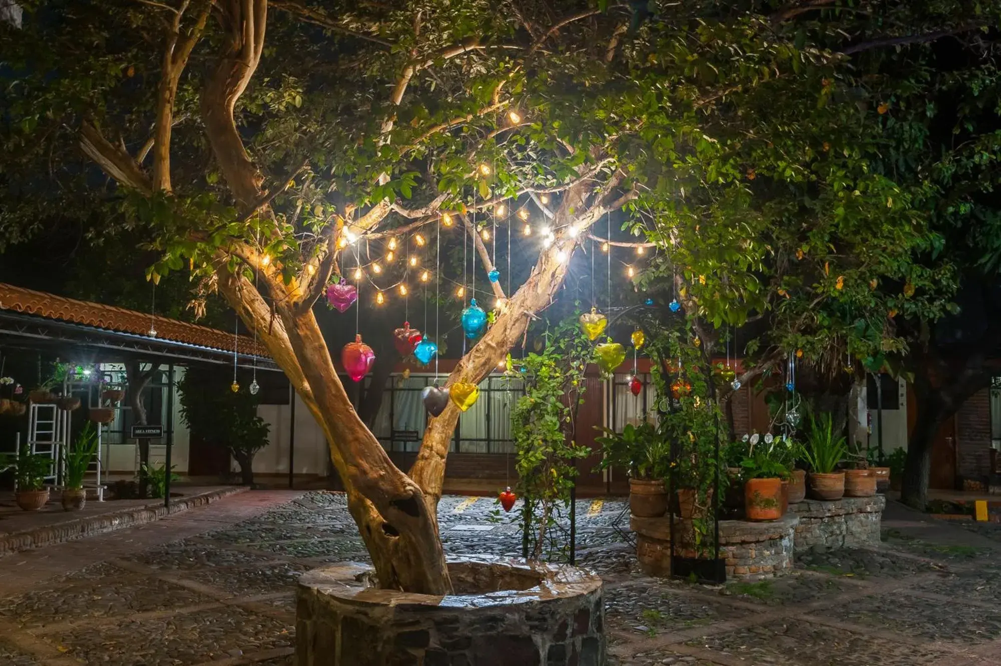 Garden in Hotel Isabel