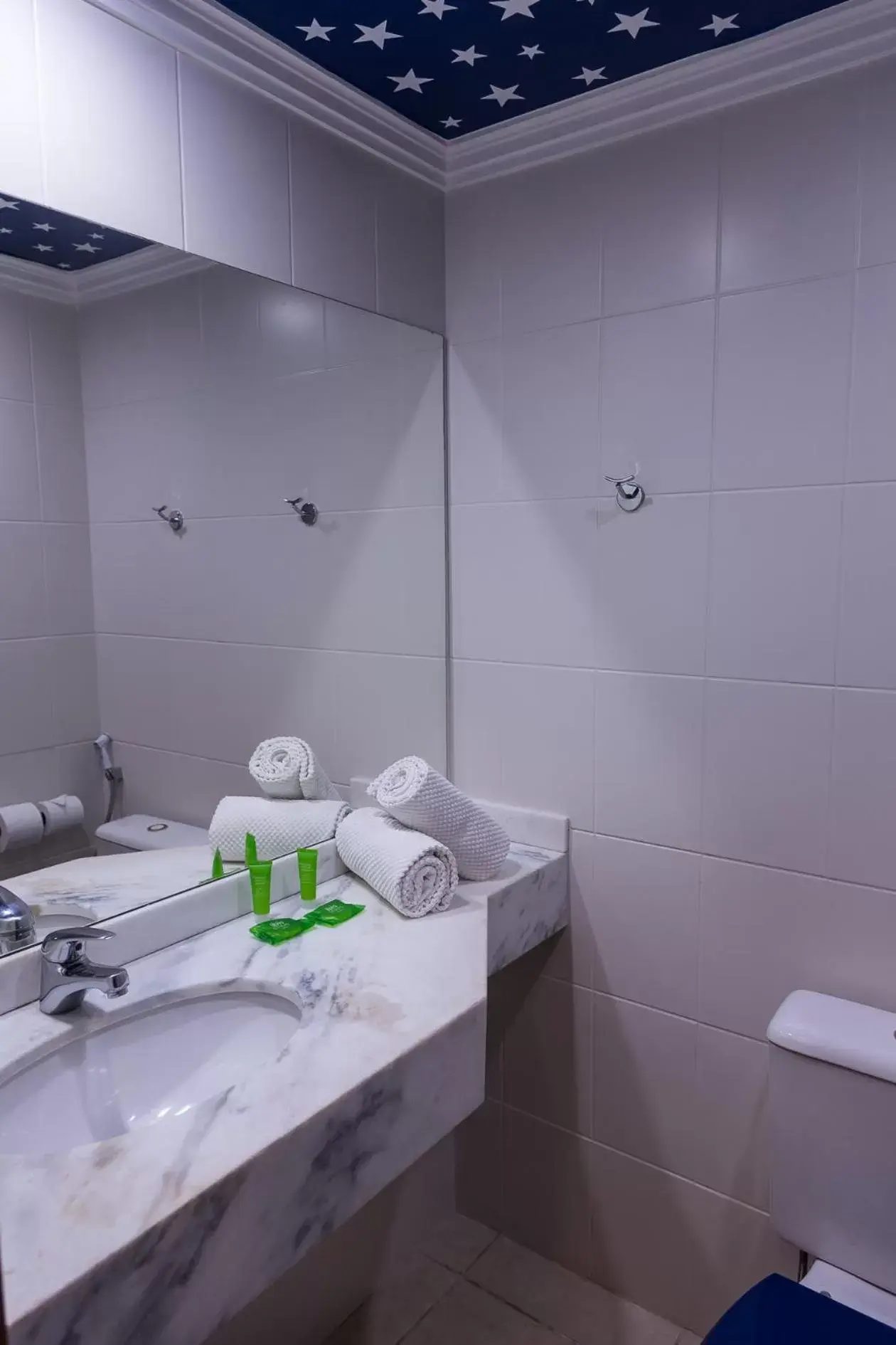 Bathroom in ibis Styles Ribeirao Preto Maurilio Biagi