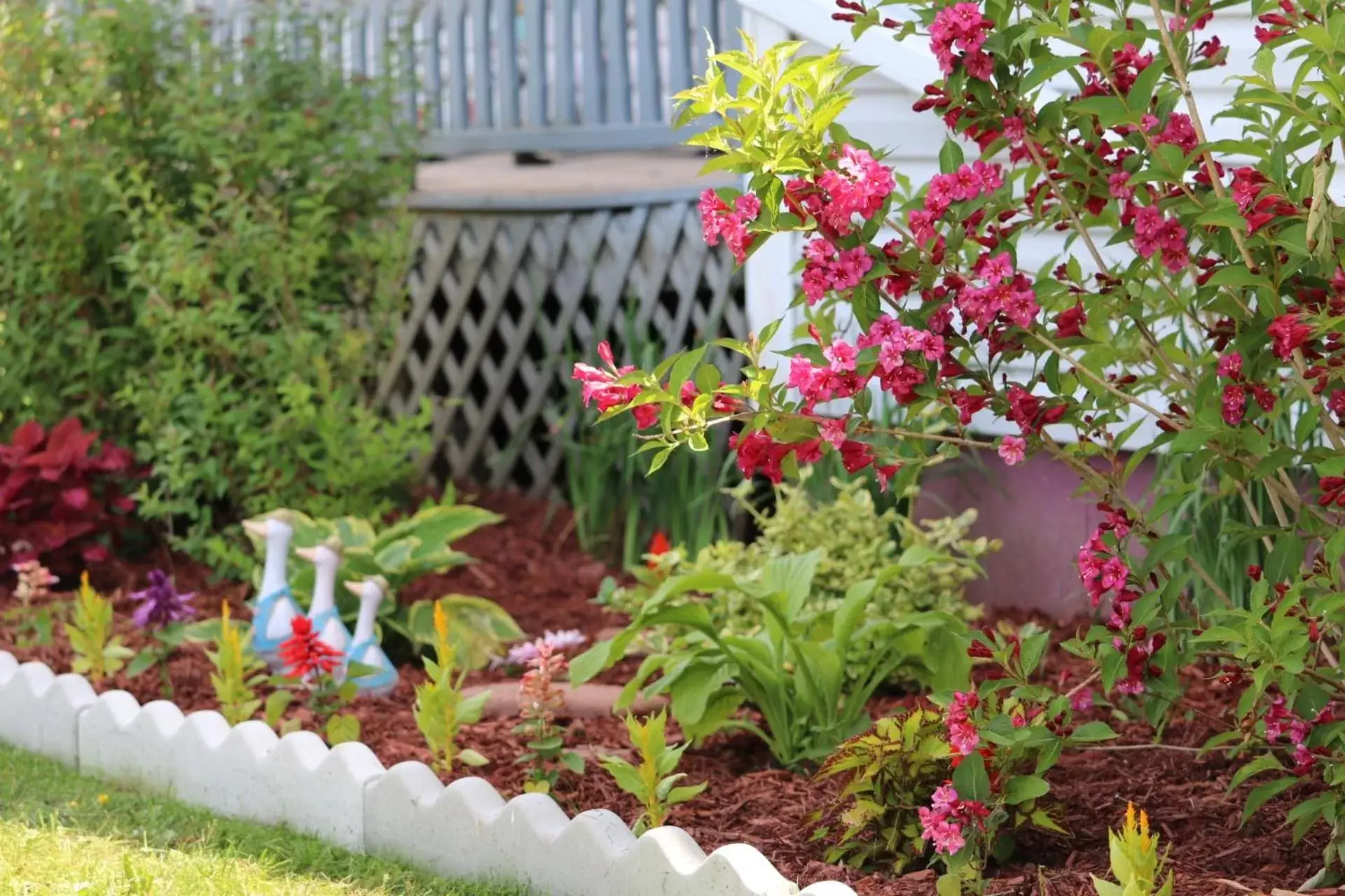 Summer, Garden in Baker Shore Bed and Breakfast