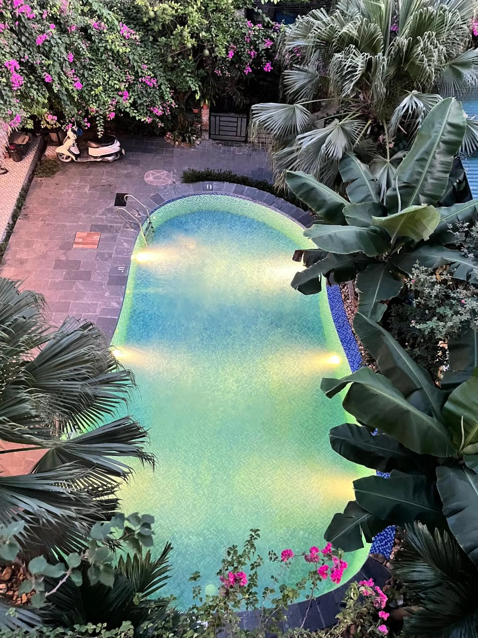 Pool view in Tam Coc Full House Homestay