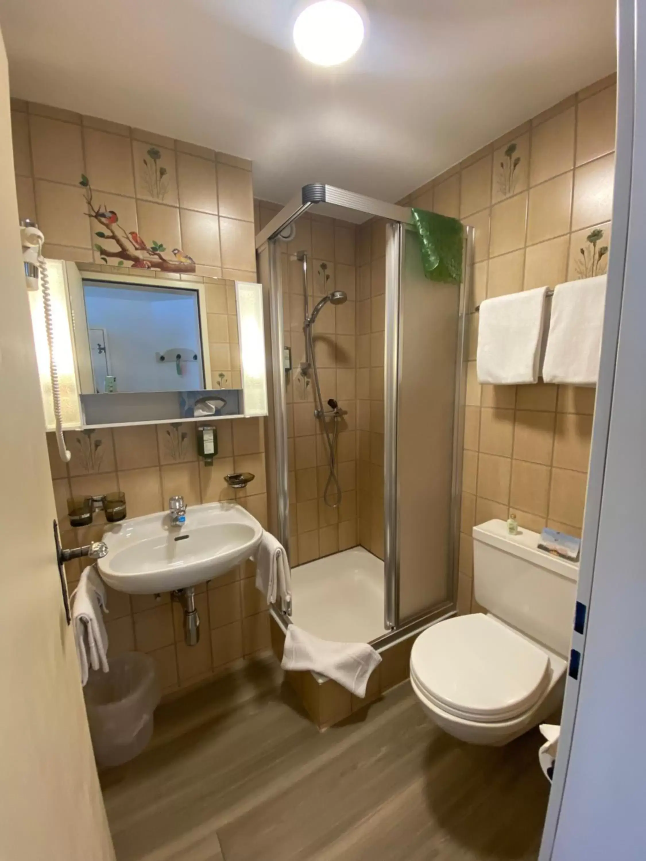 Shower, Bathroom in Hotel Garni Jägerhof