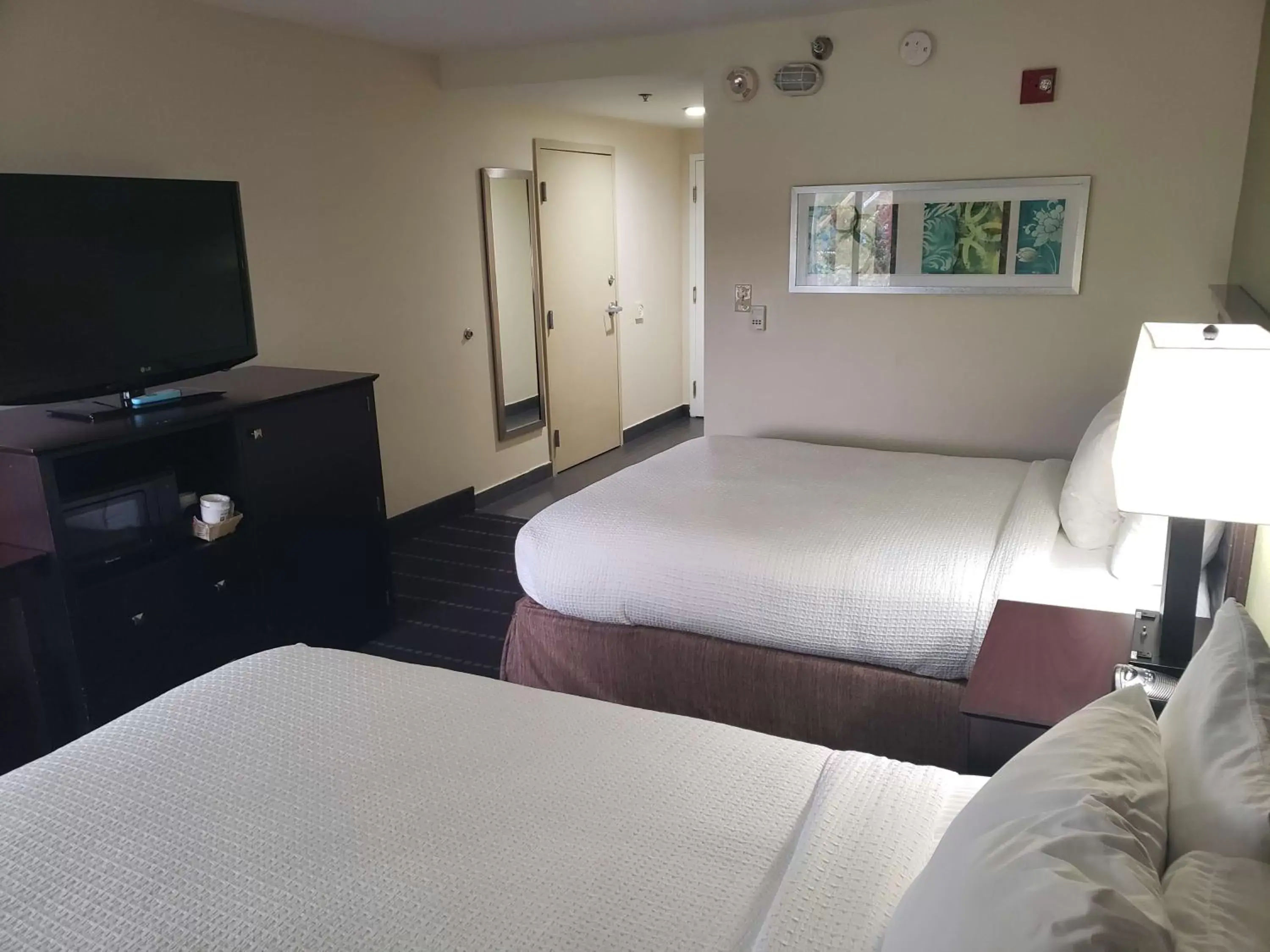 Photo of the whole room, Bed in Best Western Plus Sanford Airport/Lake Mary Hotel