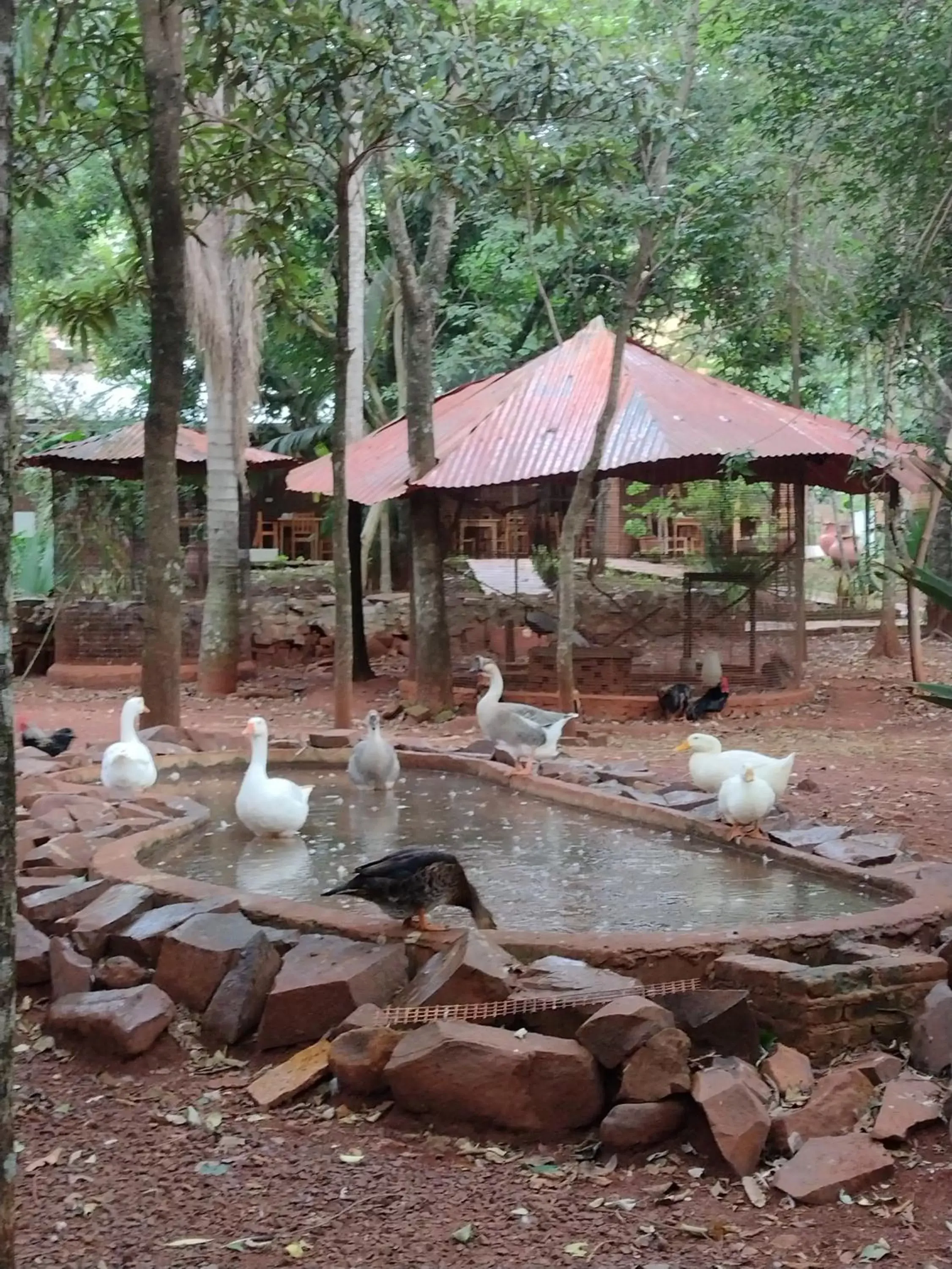 La Cautiva Iguazú Hotel