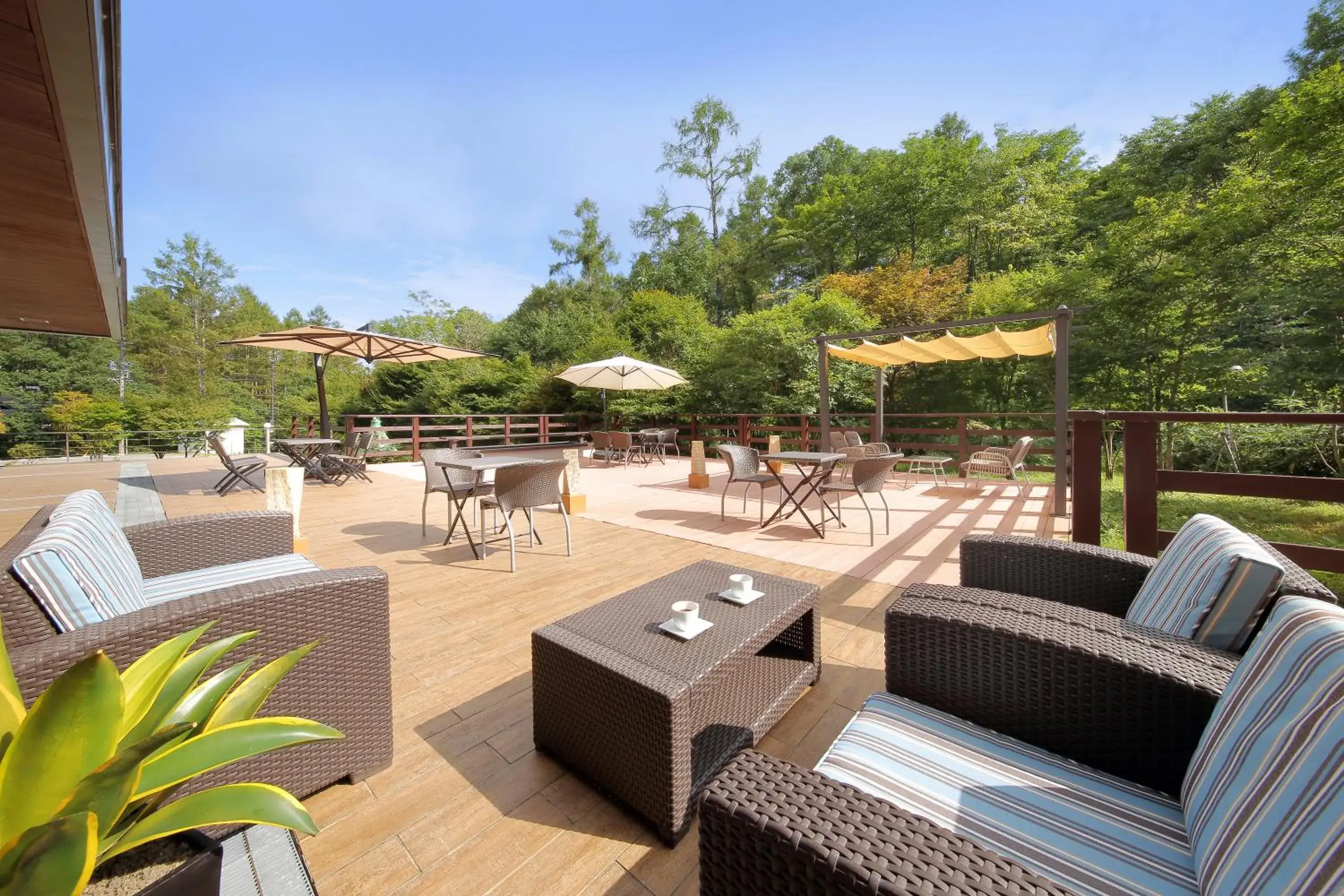 Balcony/Terrace in Hotel Ryu Resort and Spa