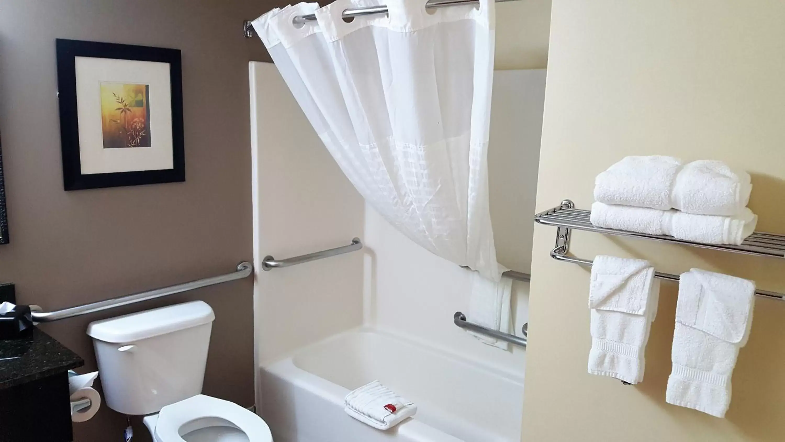 Bathroom in Baymont by Wyndham Belleville Airport Area Free Airport Shuttle