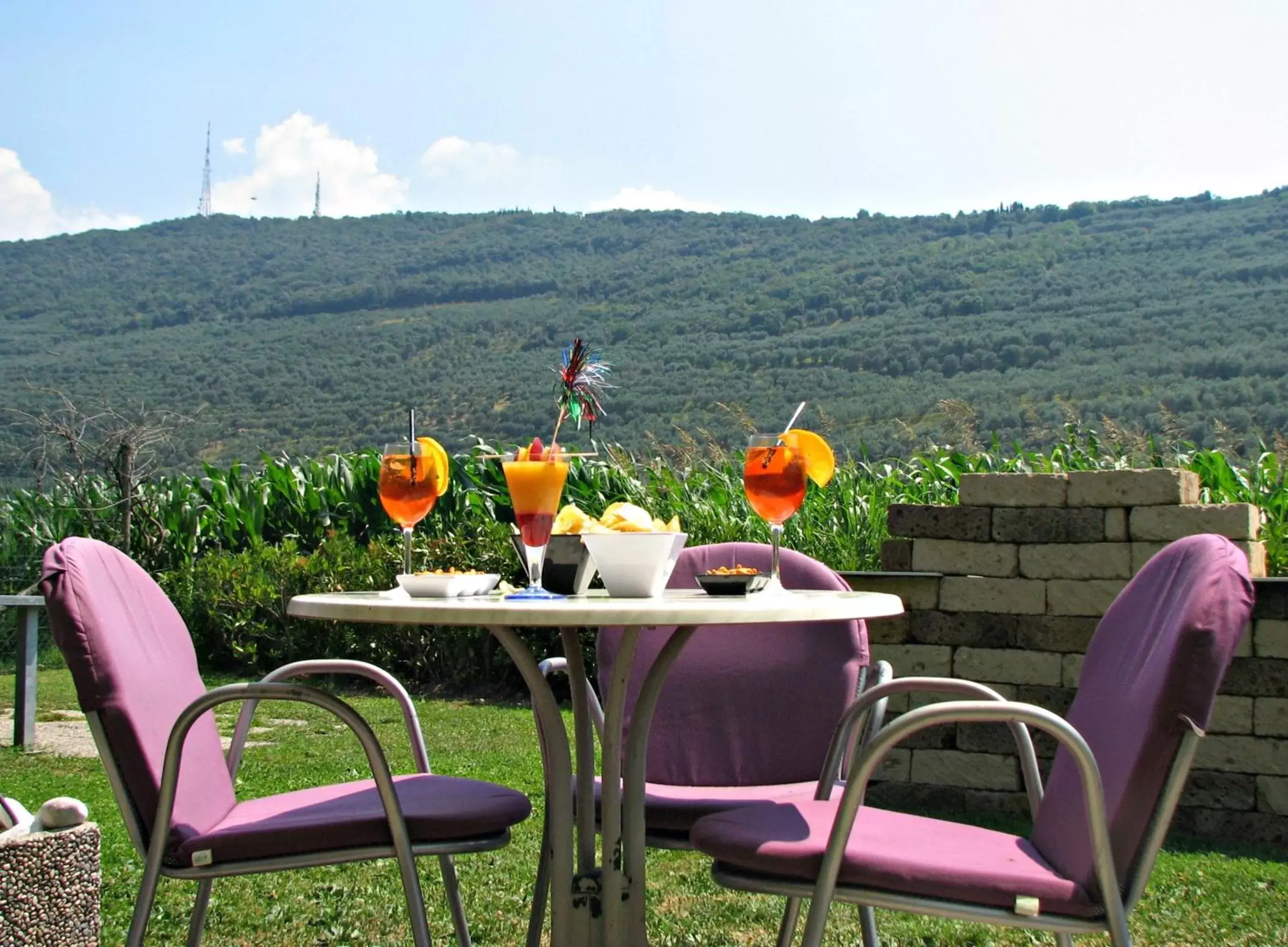 Garden view, Patio/Outdoor Area in Ambassador Suite Hotel