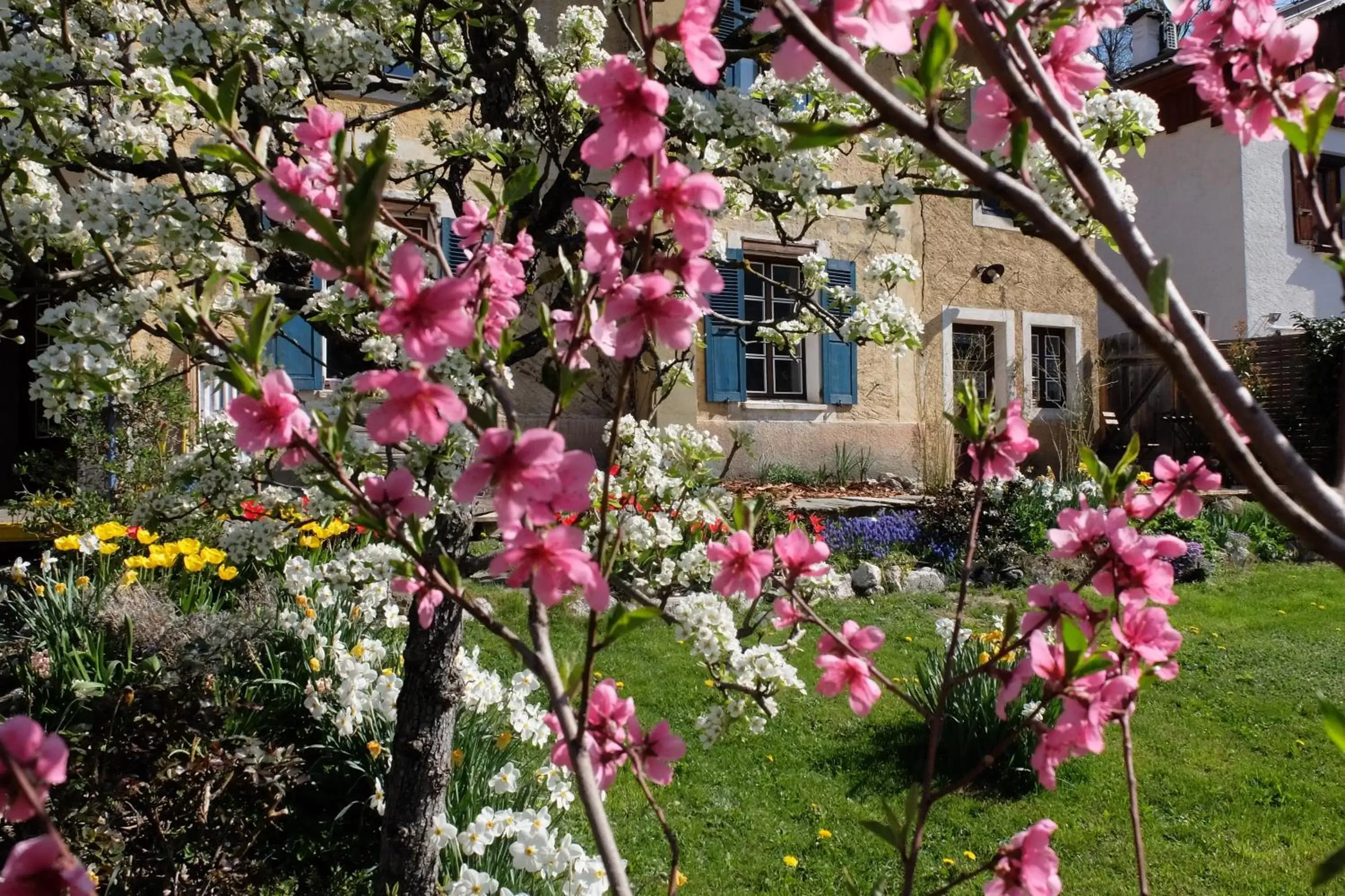 Facade/entrance, Garden in La Foyère