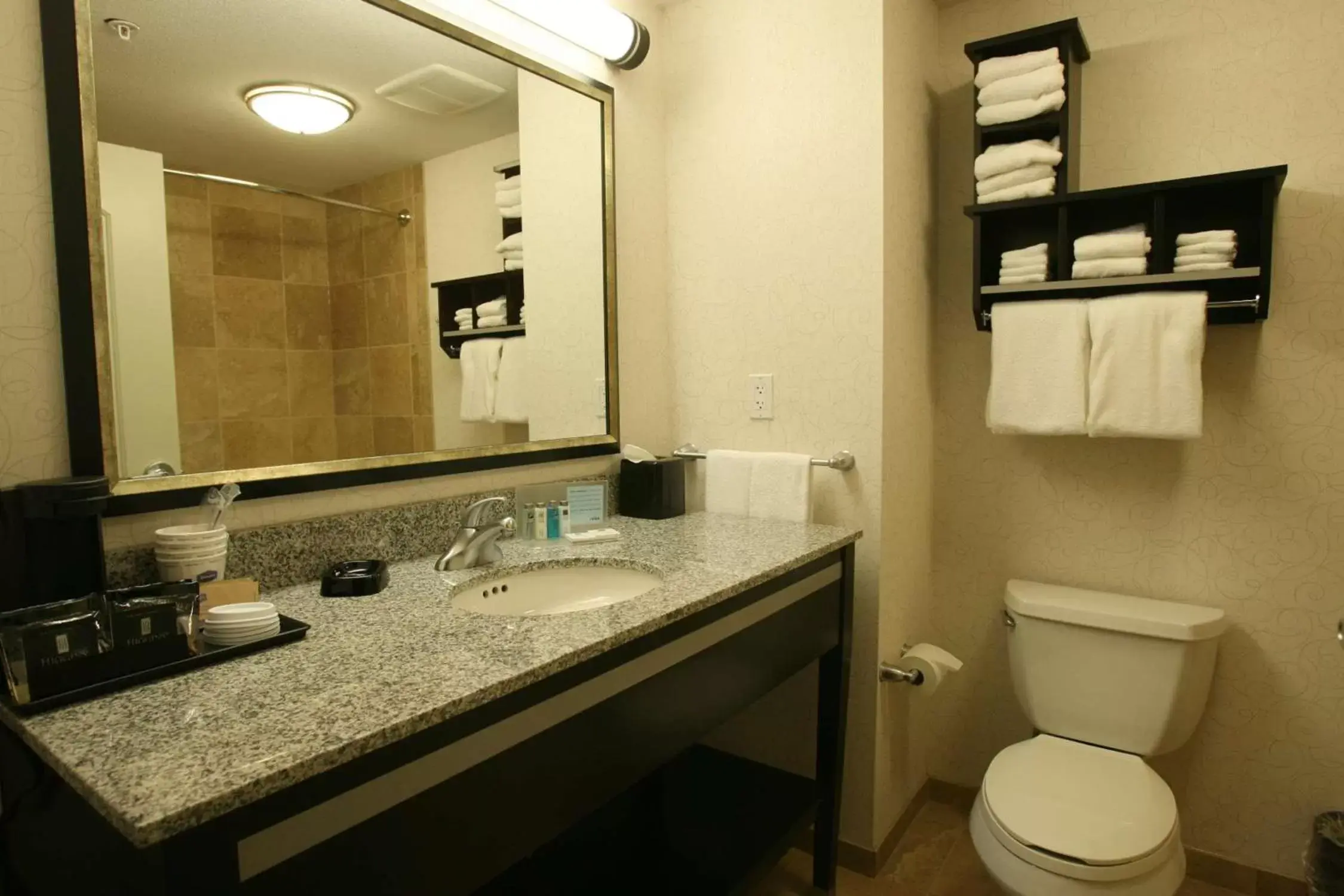 Bathroom in Hampton Inn & Suites Red Deer