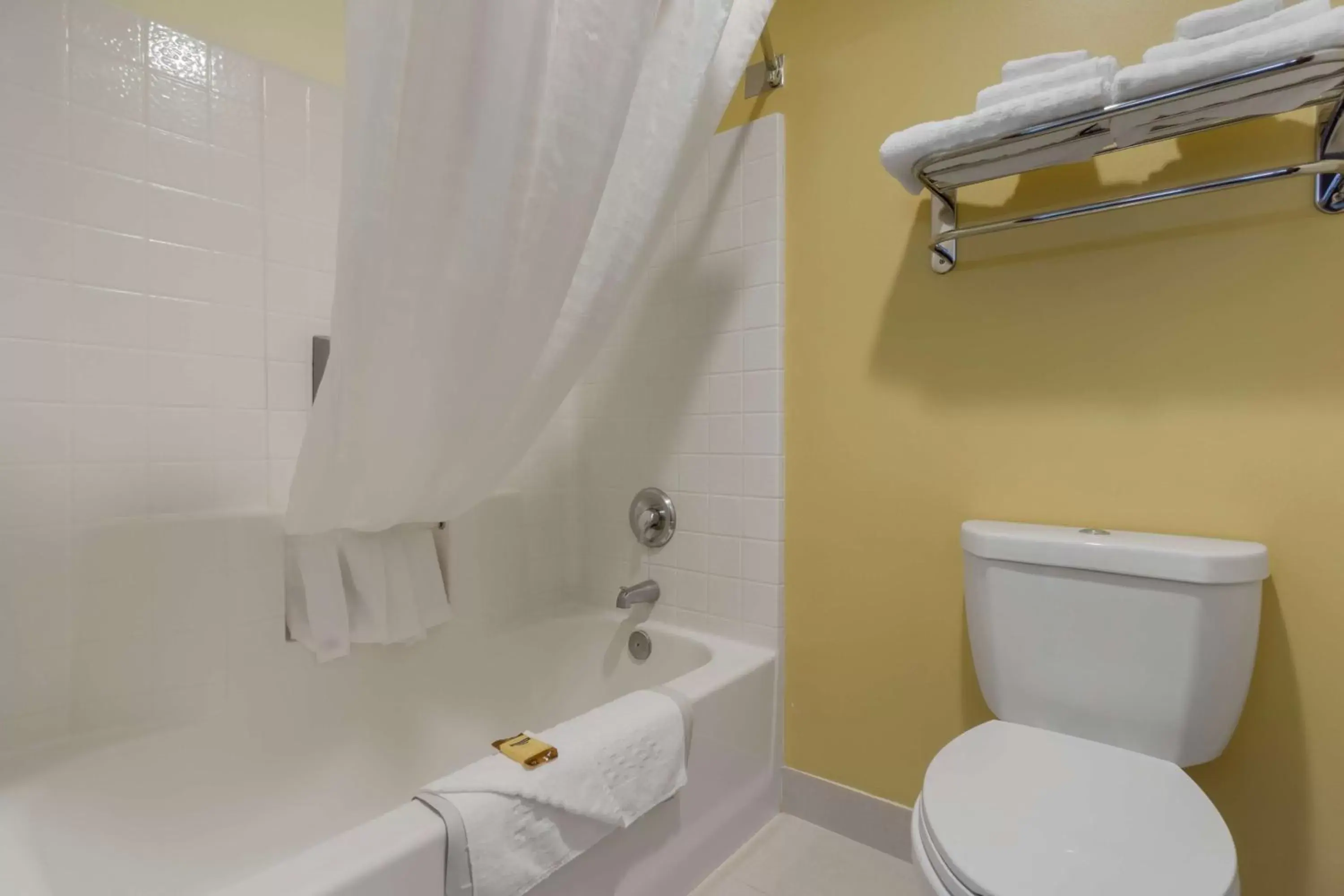 Bathroom in Best Western Plus Park Place Inn & Suites