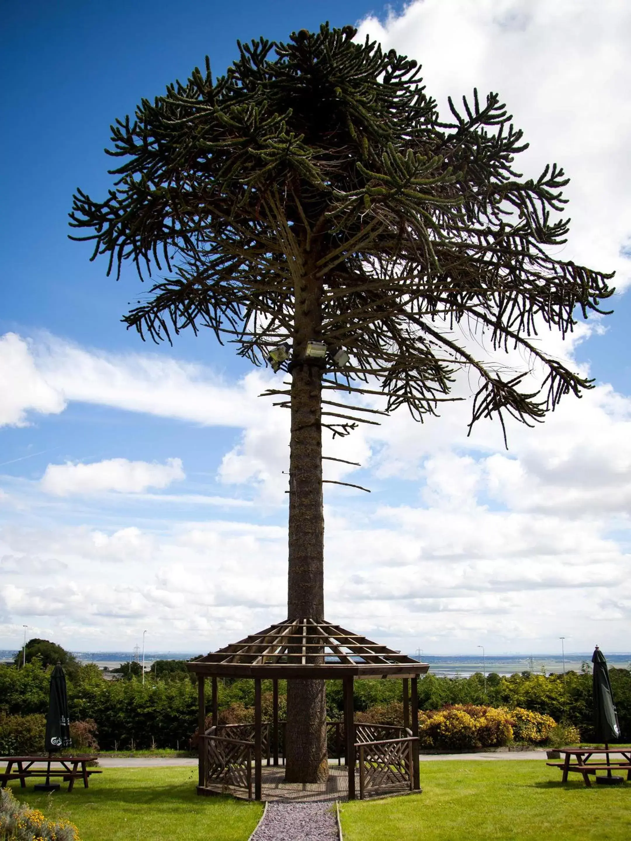 Garden in Springfield Hotel & Restaurant