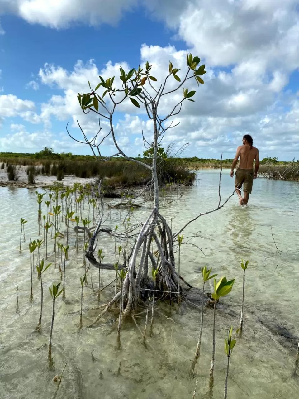 Activities in Villas Ecotucan