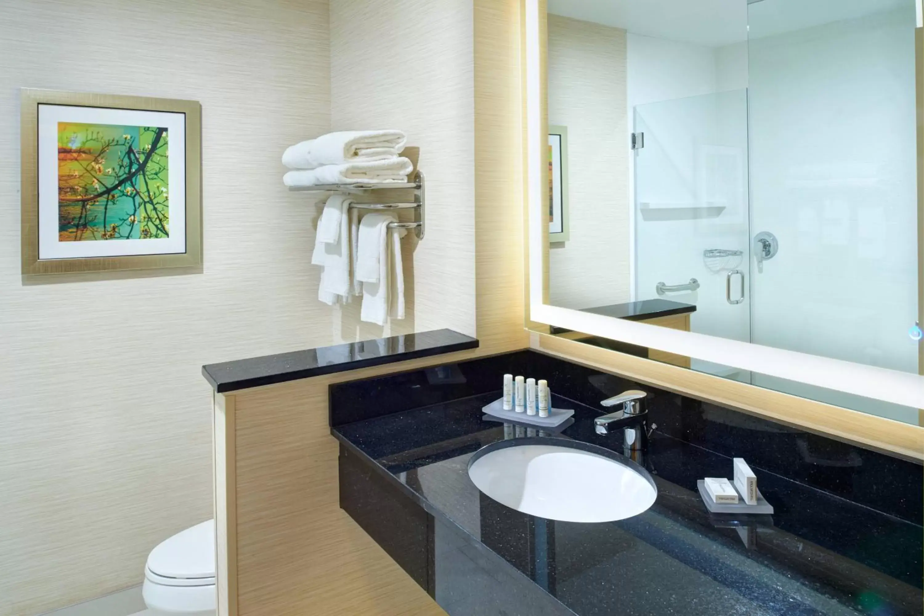 Bathroom in Fairfield Inn & Suites by Marriott Detroit Troy