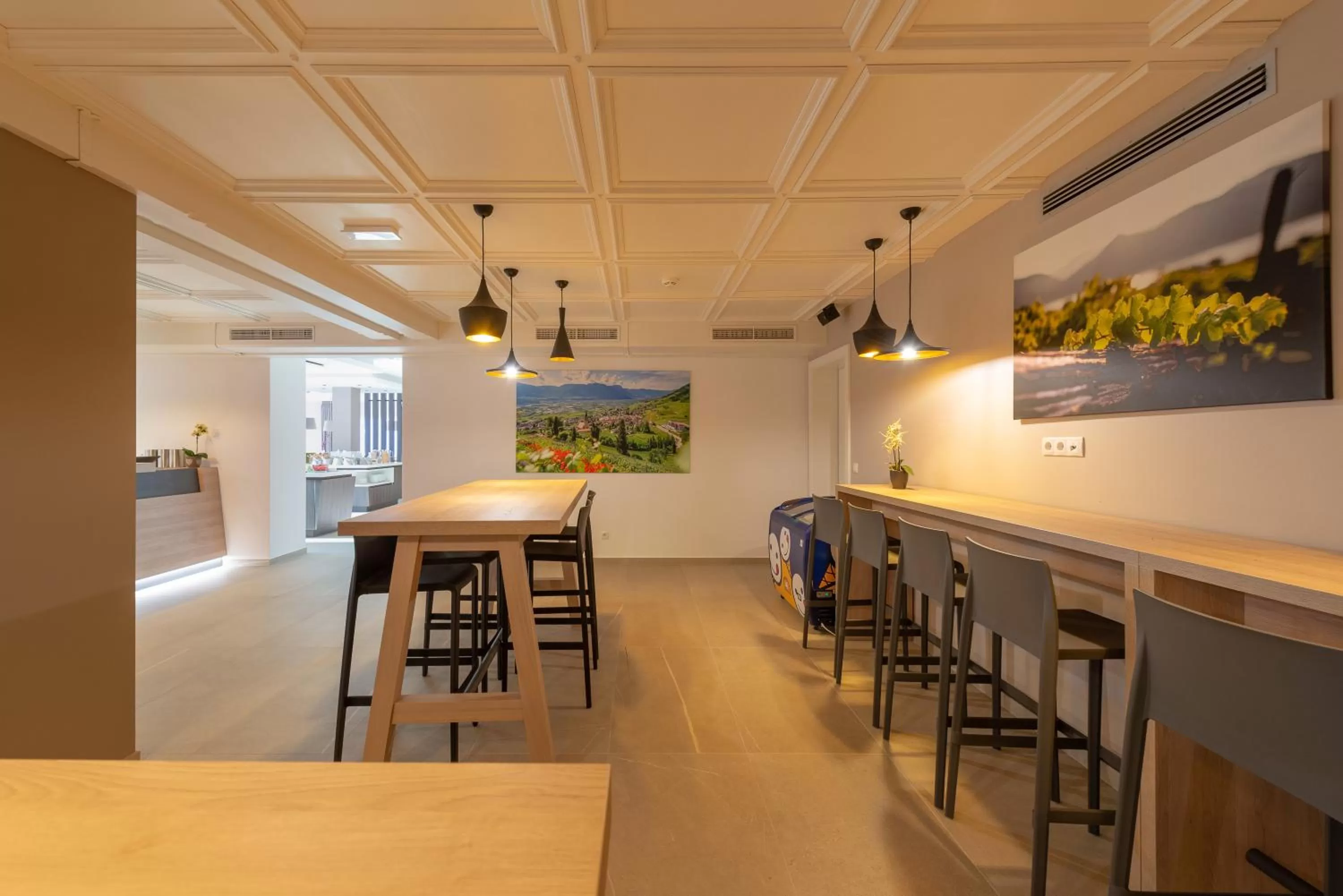 Lounge or bar in Residence Garni Hotel Vineus