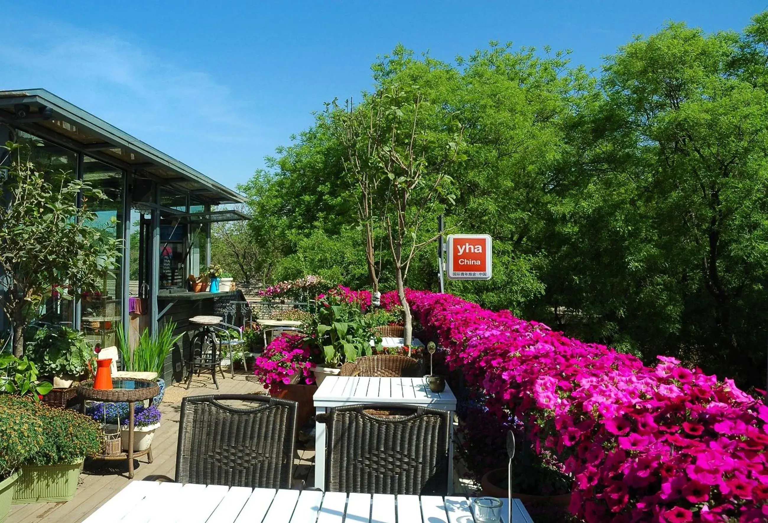 Garden in Peking International Youth Hostel