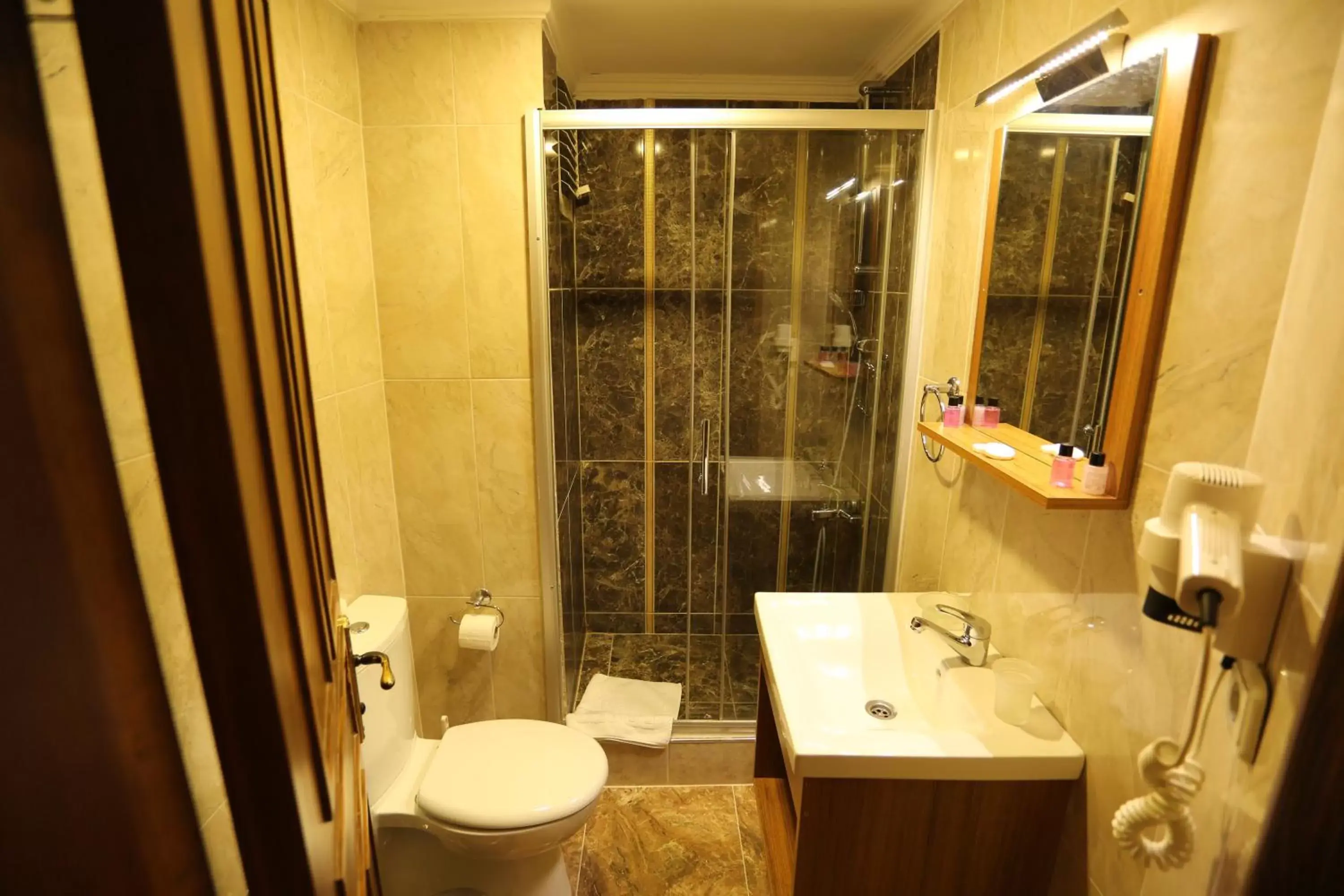 Shower, Bathroom in Hotel Tashkonak Istanbul