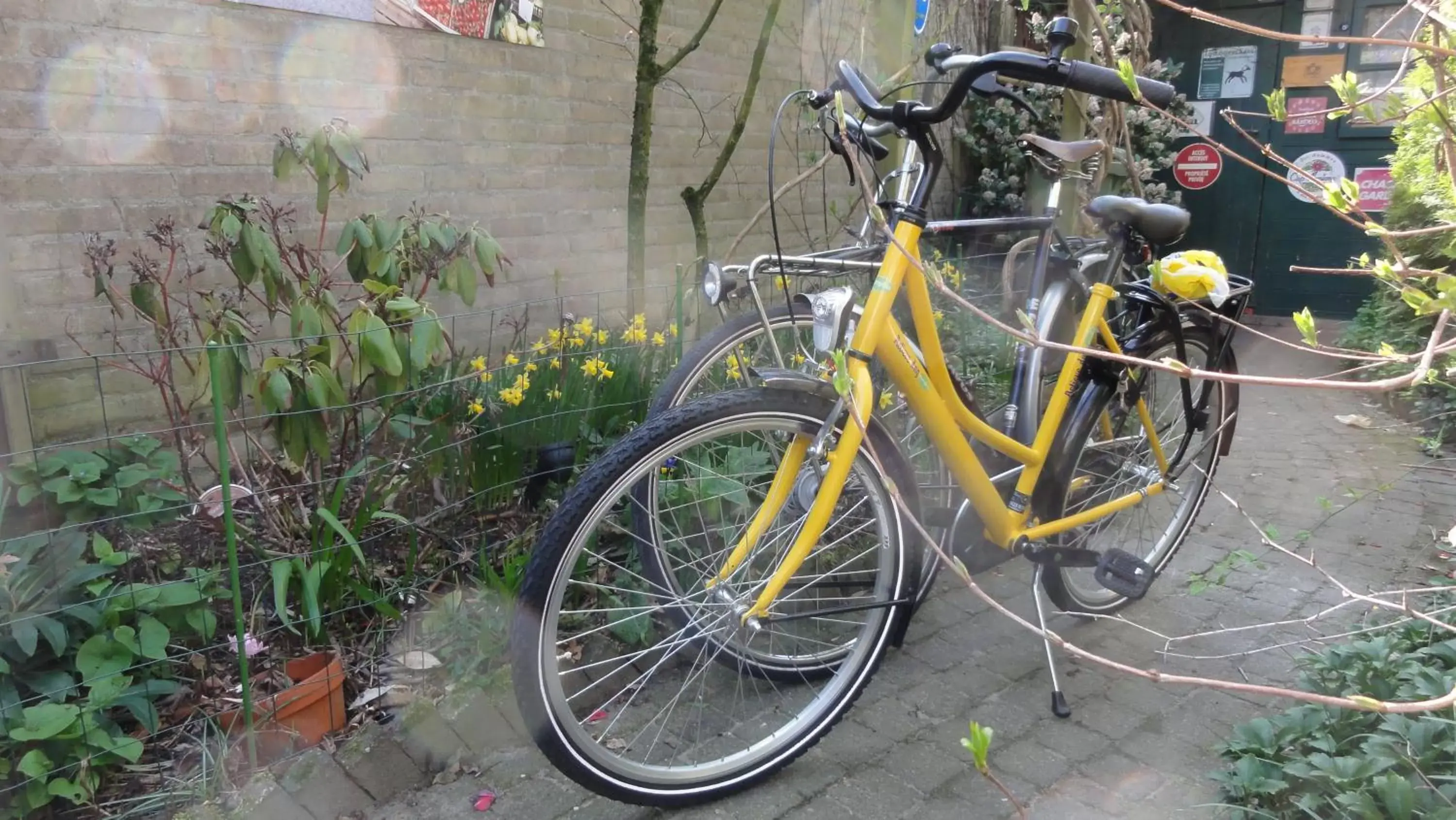 Cycling, Biking in B&B Aan het Park Eindhoven