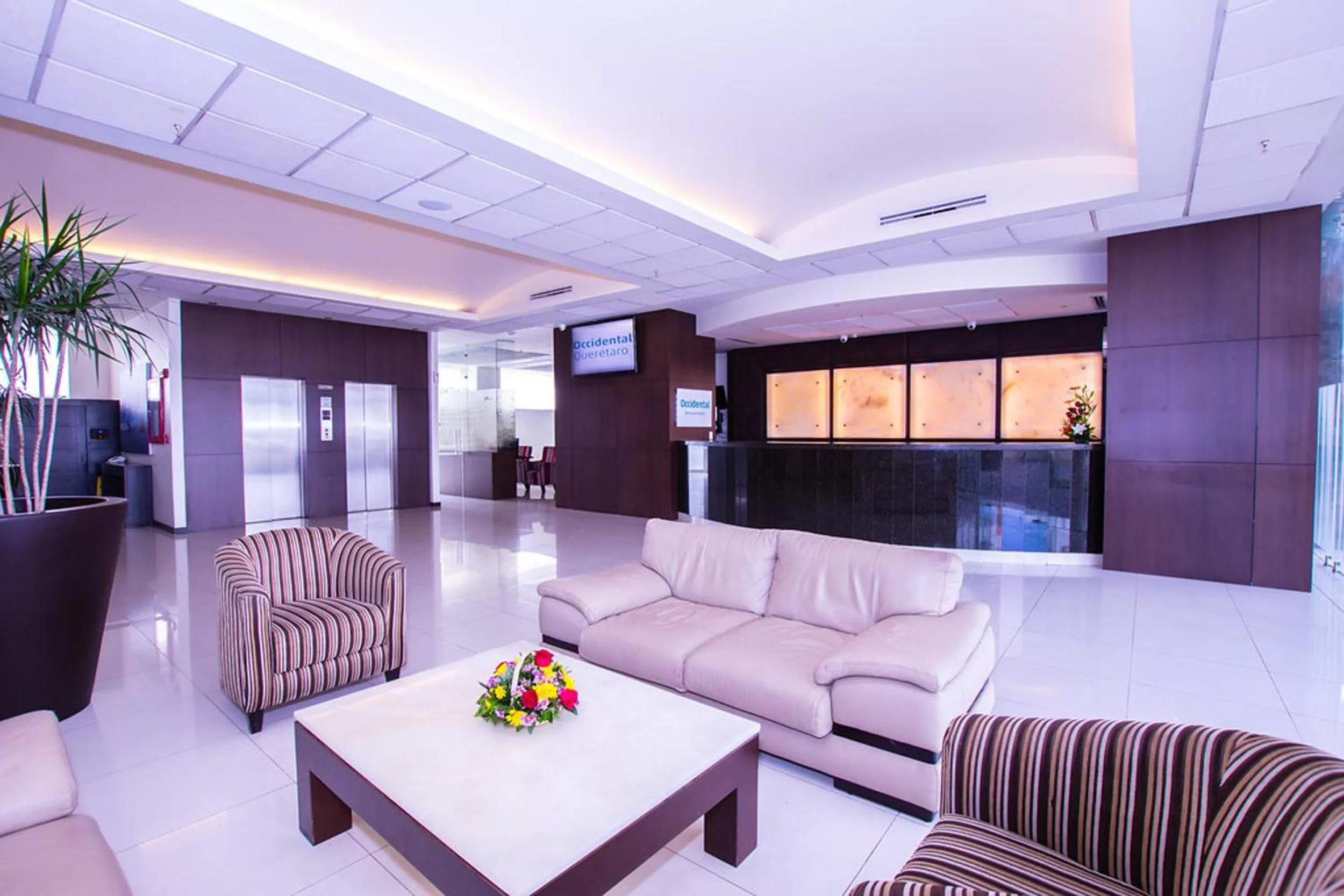 Living room in Crown Victoria Hotel