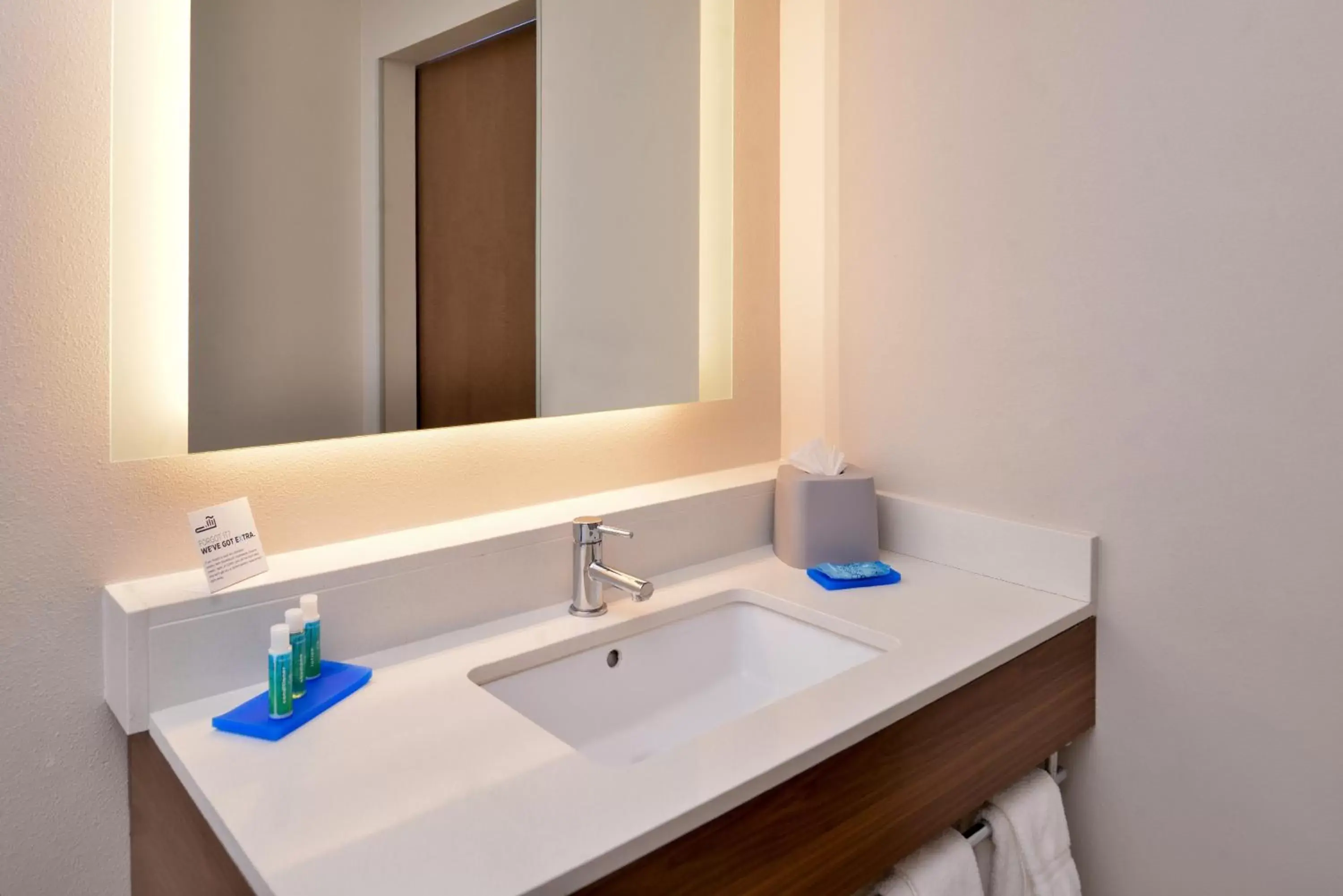Bathroom in Holiday Inn Express & Suites - Van Horn, an IHG Hotel