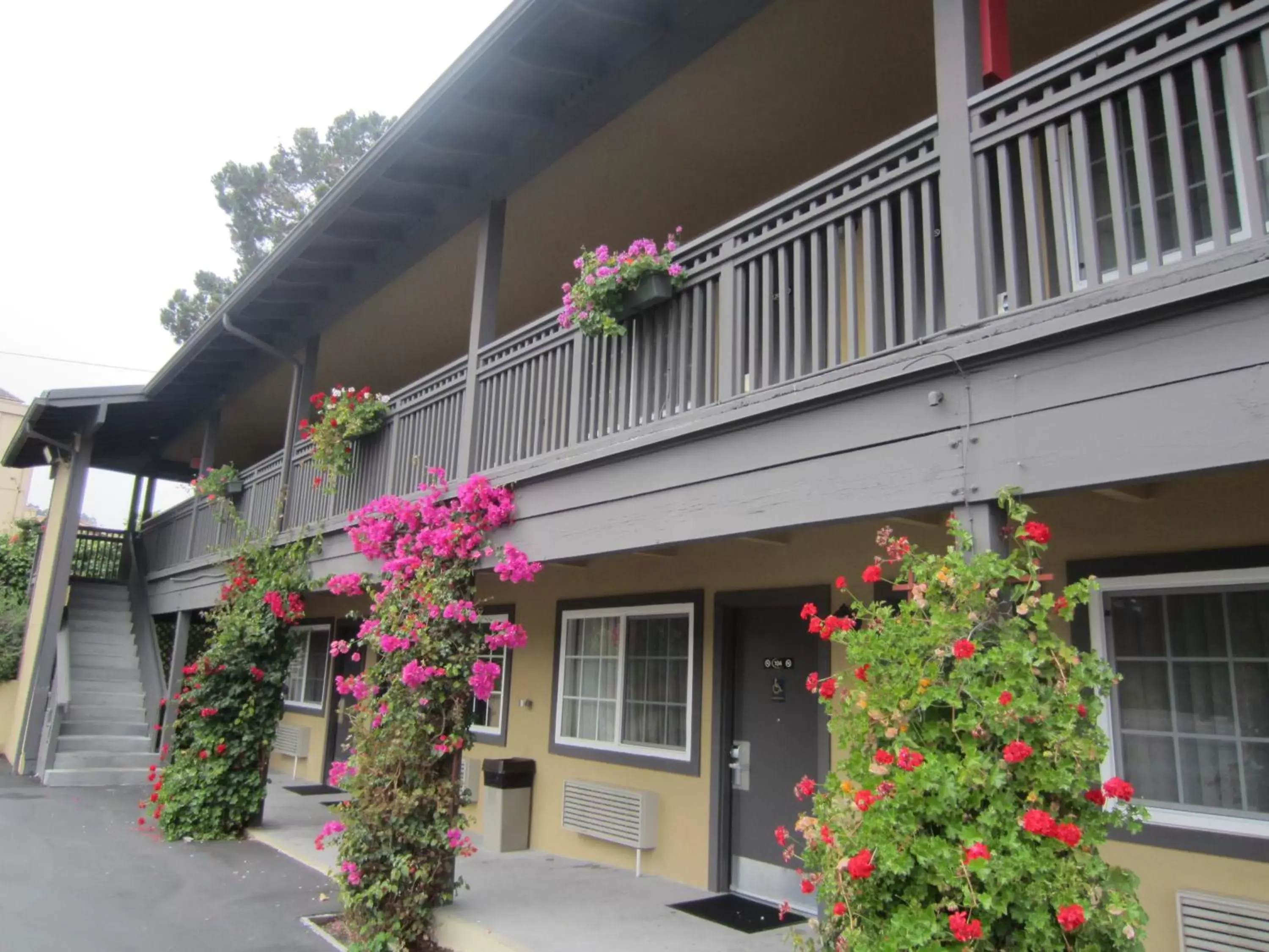 Other, Property Building in Super 8 by Wyndham Monterey Fisherman's Wharf Aquarium