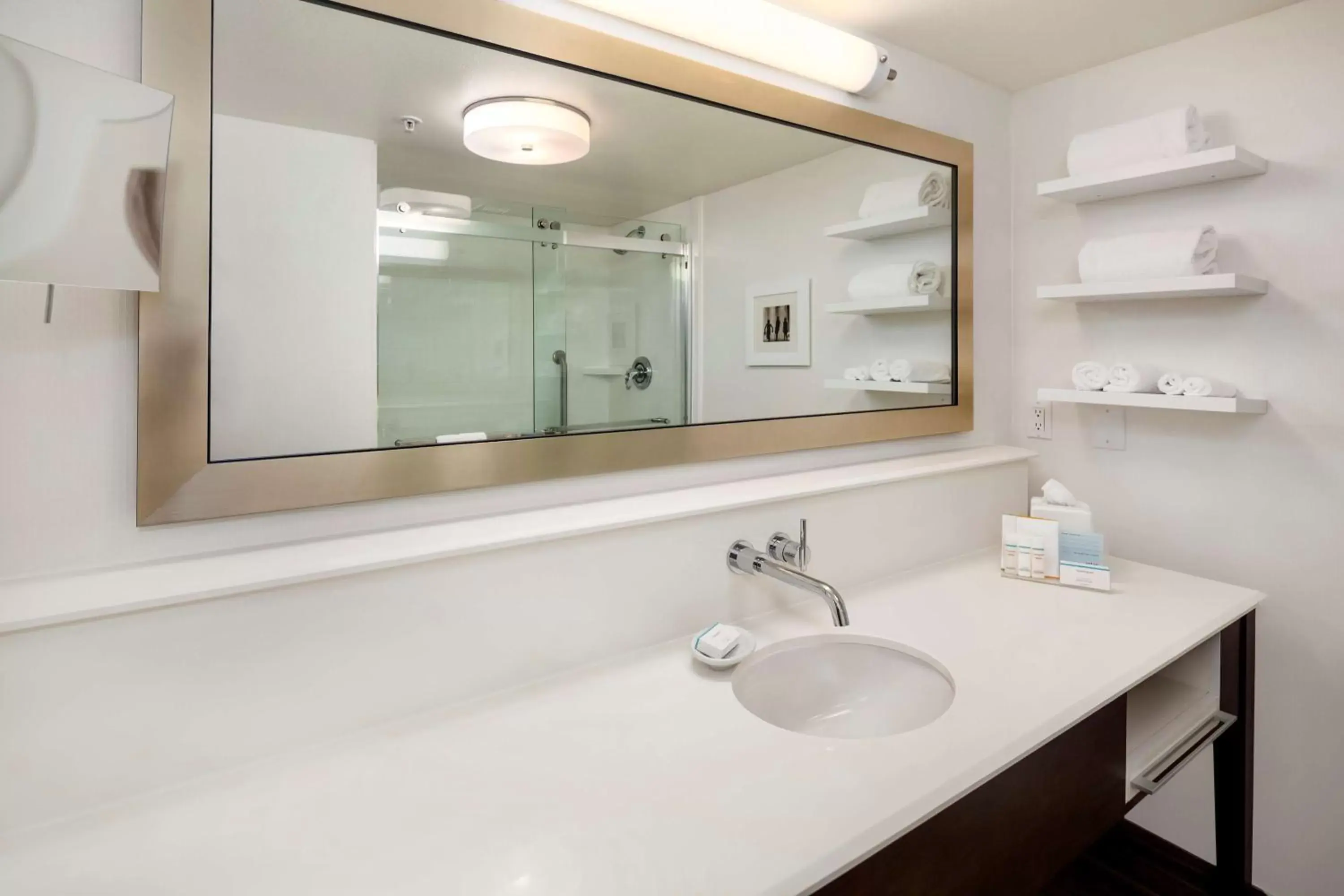 Bathroom in Hampton Inn & Suites Seattle North/Lynnwood