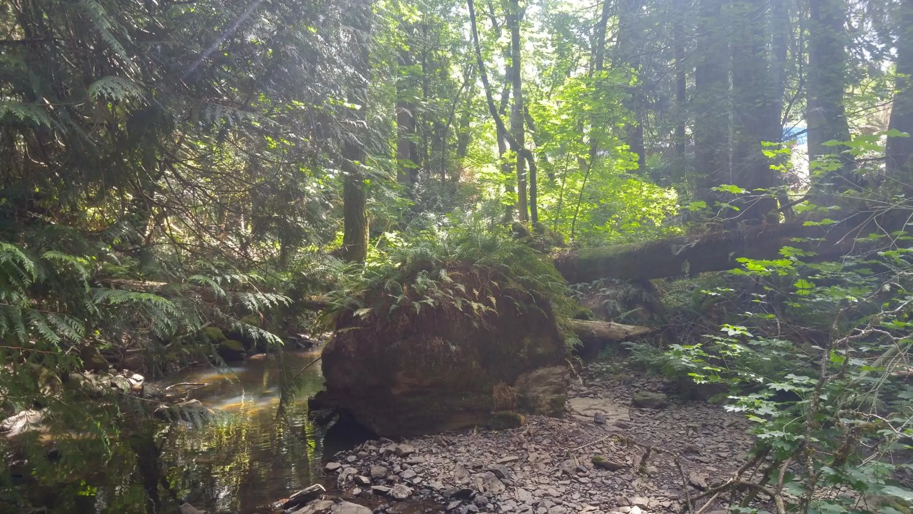 Scott Creek Farm Scott Creek Farm