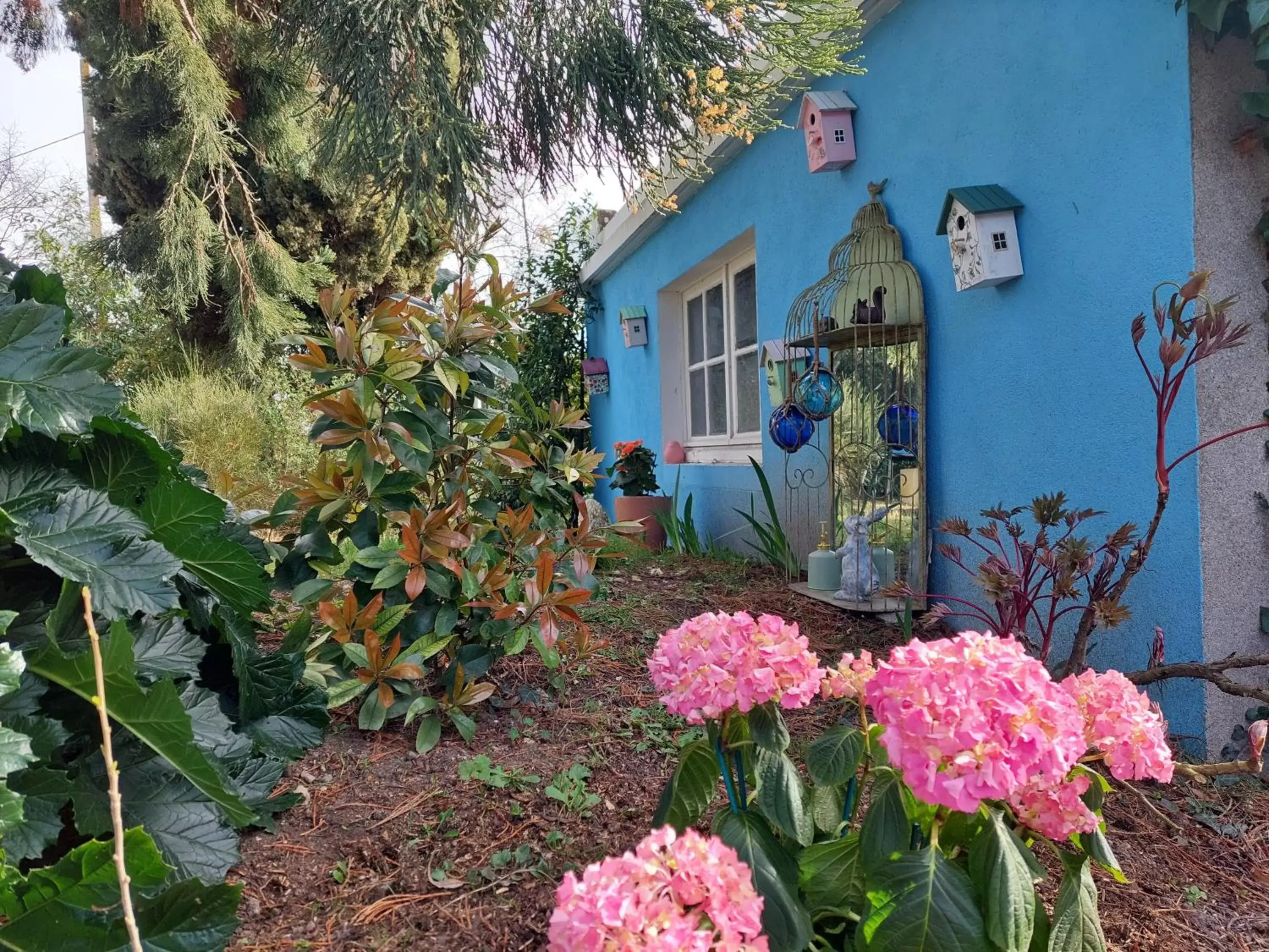 Garden, Property Building in La Maucannière