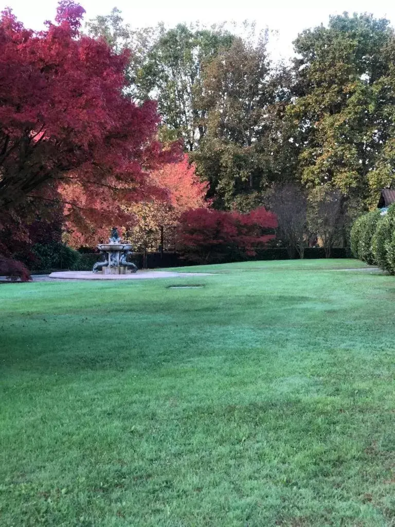 Garden in Parco Hotel Sassi