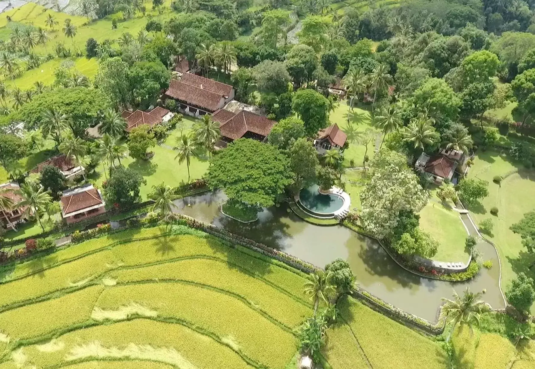 Property building in Ijen Resort and Villas - The Hidden Paradise Property building in Ijen Resort and Villas - The Hidden Paradise