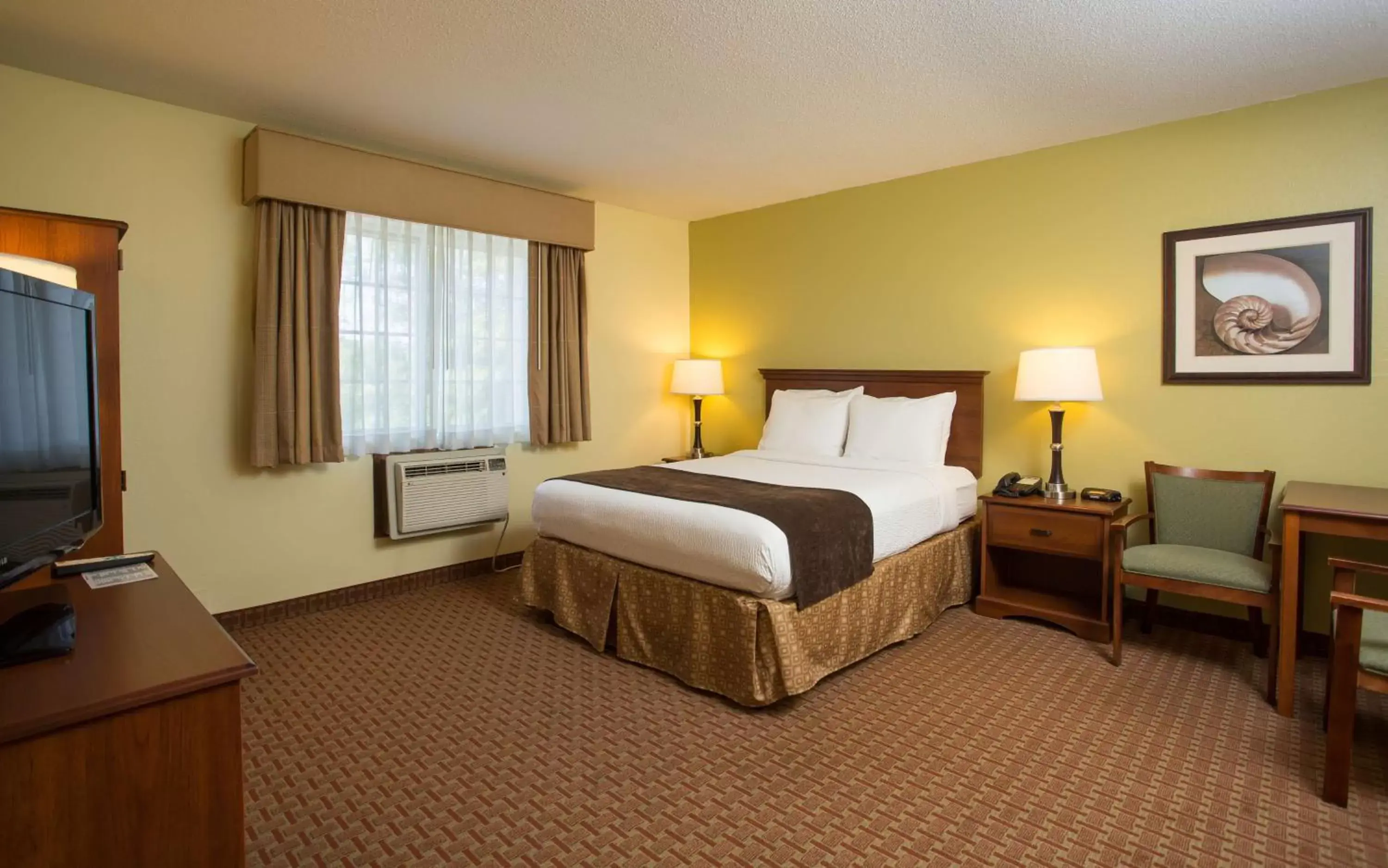 Photo of the whole room, Bed in Best Western York Inn