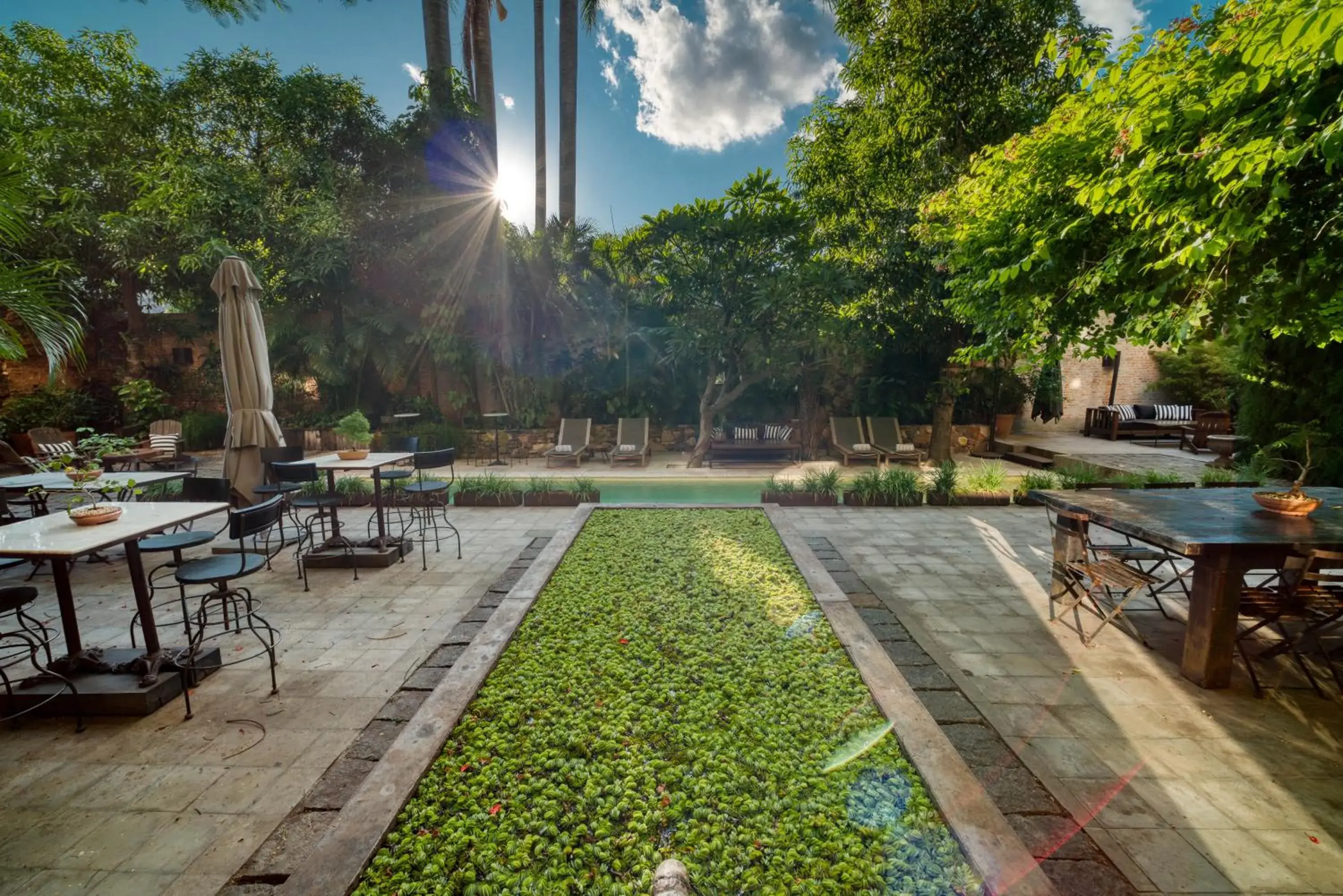 Area and facilities, Swimming Pool in Factoria Hotel