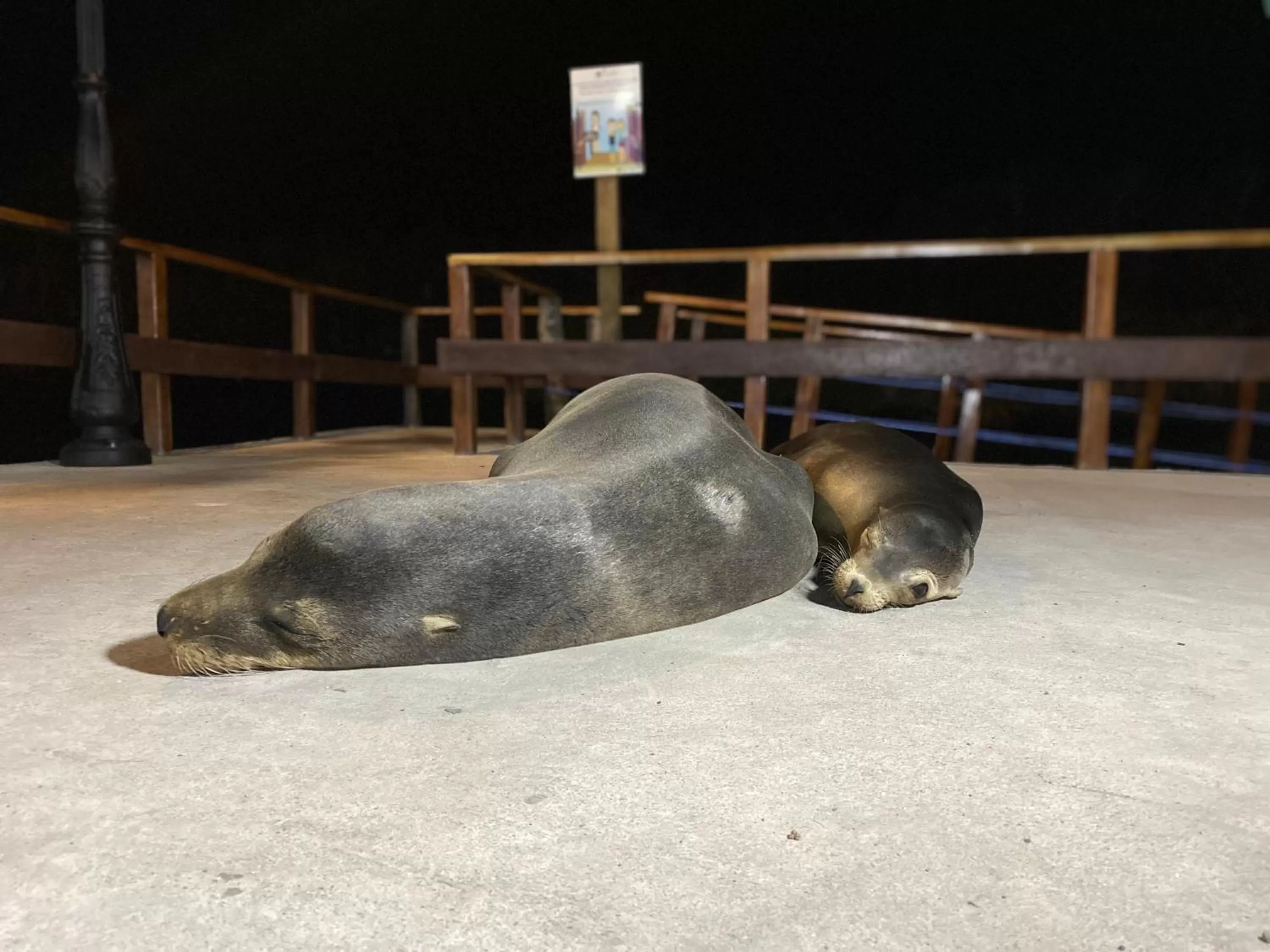 Nearby landmark in La Peregrina Galapagos B&B