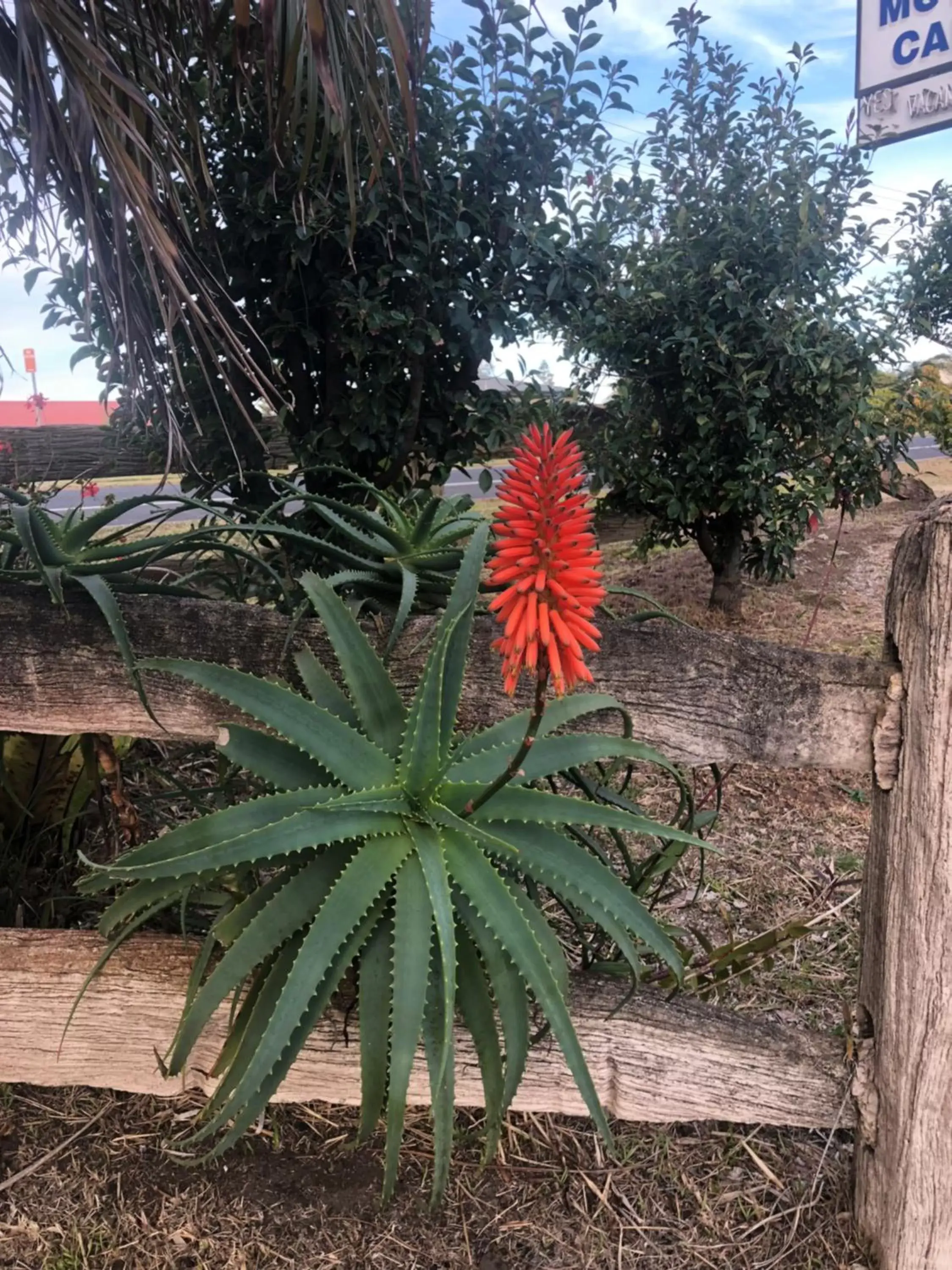 Garden in Breeze Inn 13 Princes Highway, Ulladulla