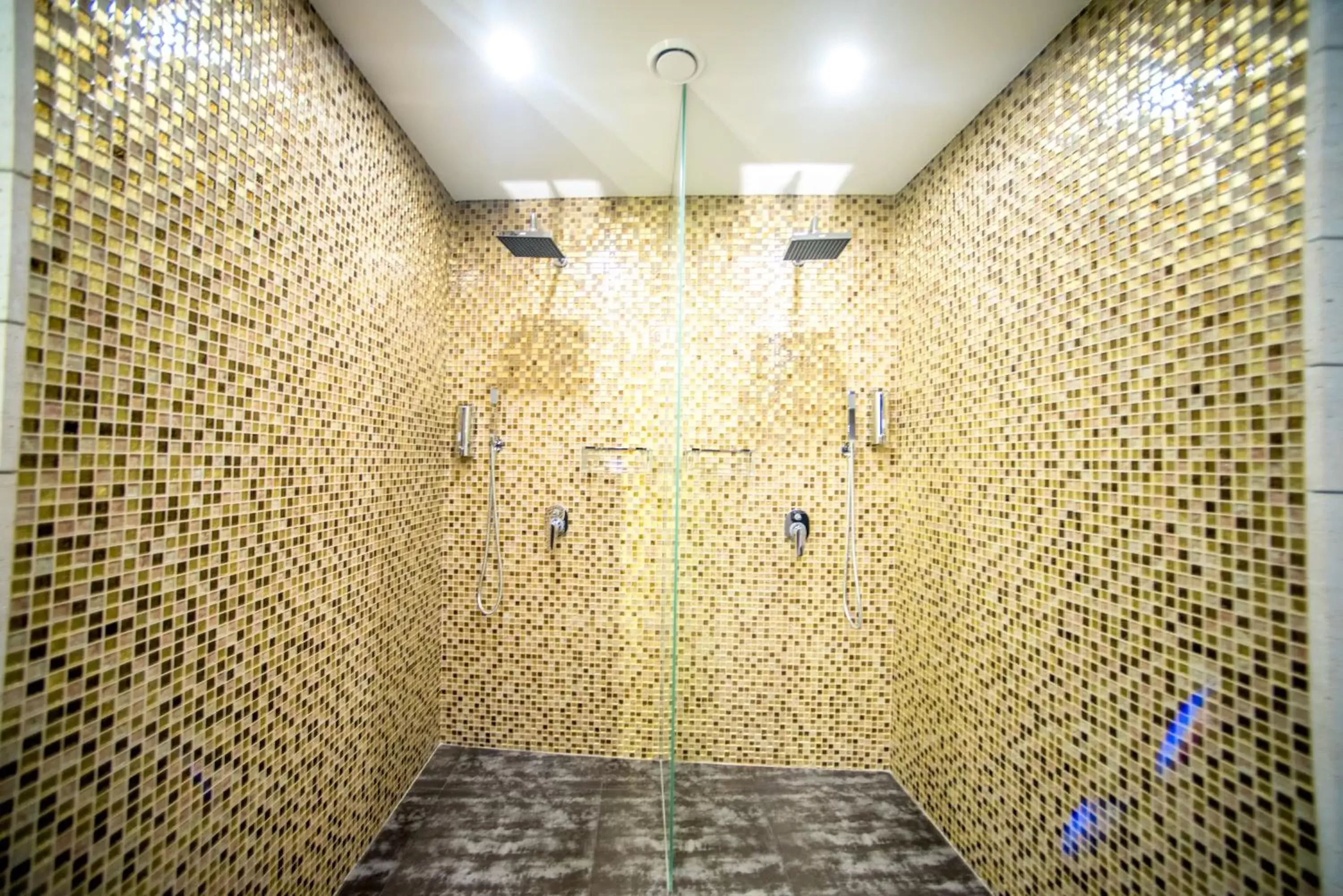 Shower, Spa/Wellness in Aghababyan's Hotel