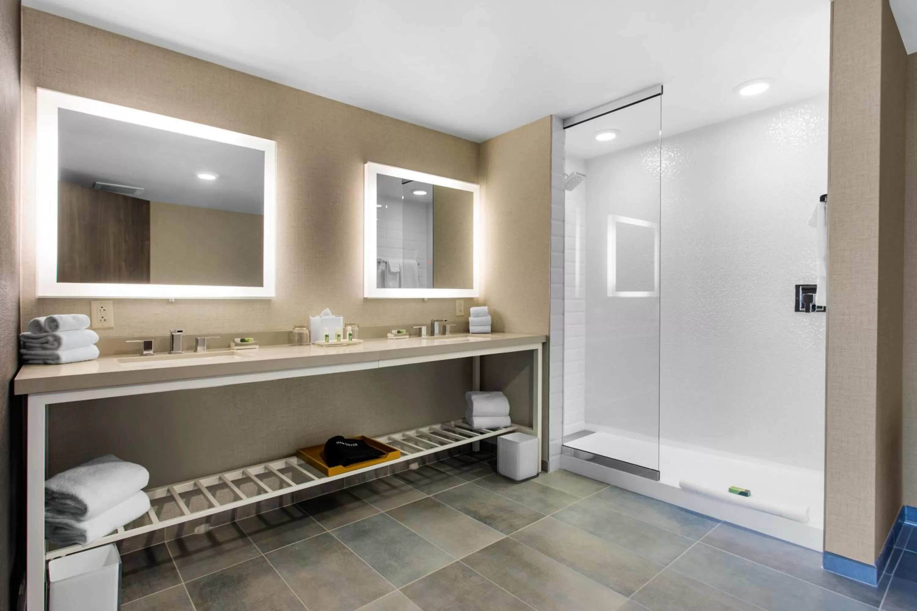 Bathroom in Cambria Hotel Downtown Asheville