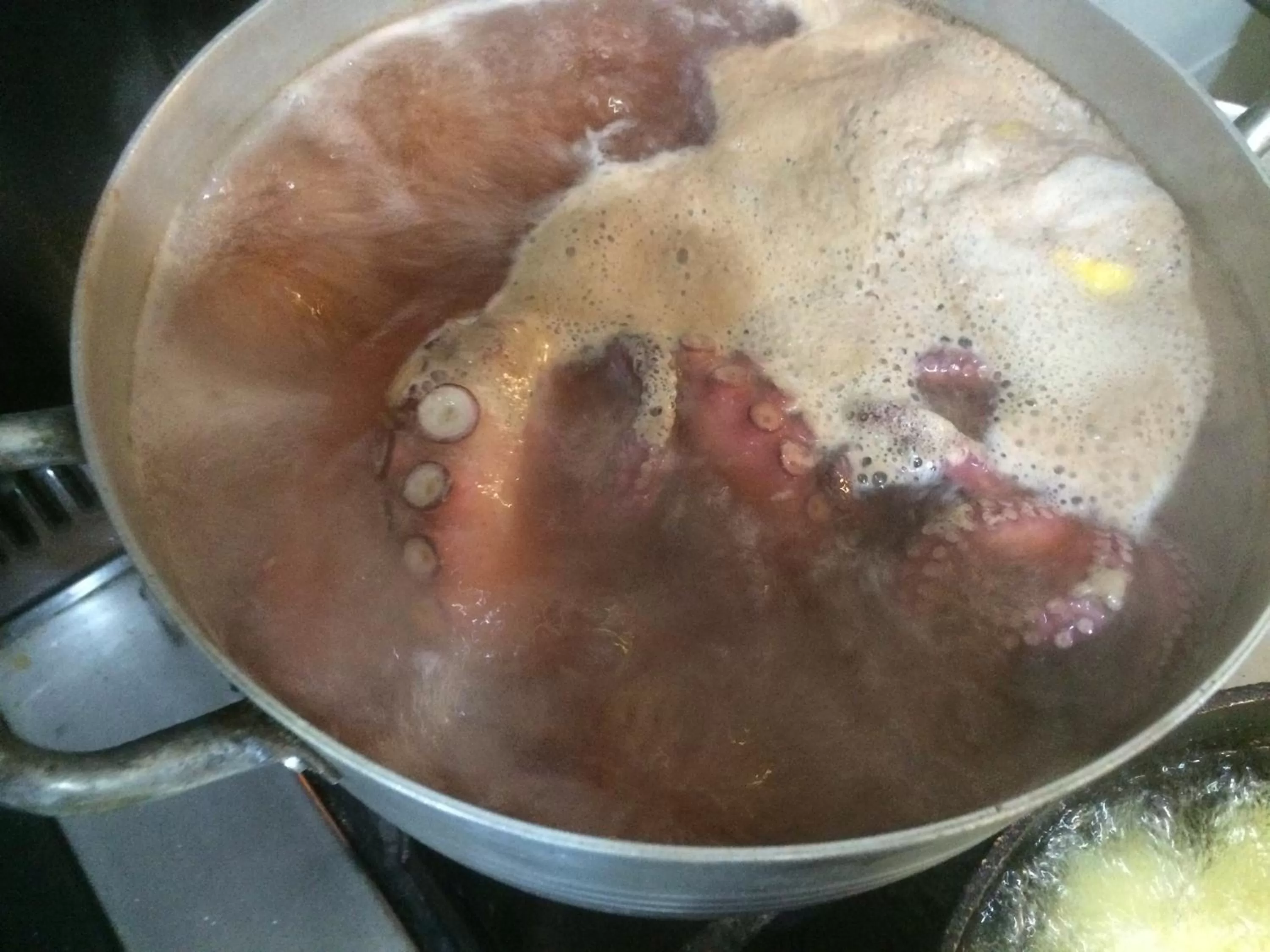 Restaurant/places to eat, Food in Vila Rahmi & Veli Dervishaj