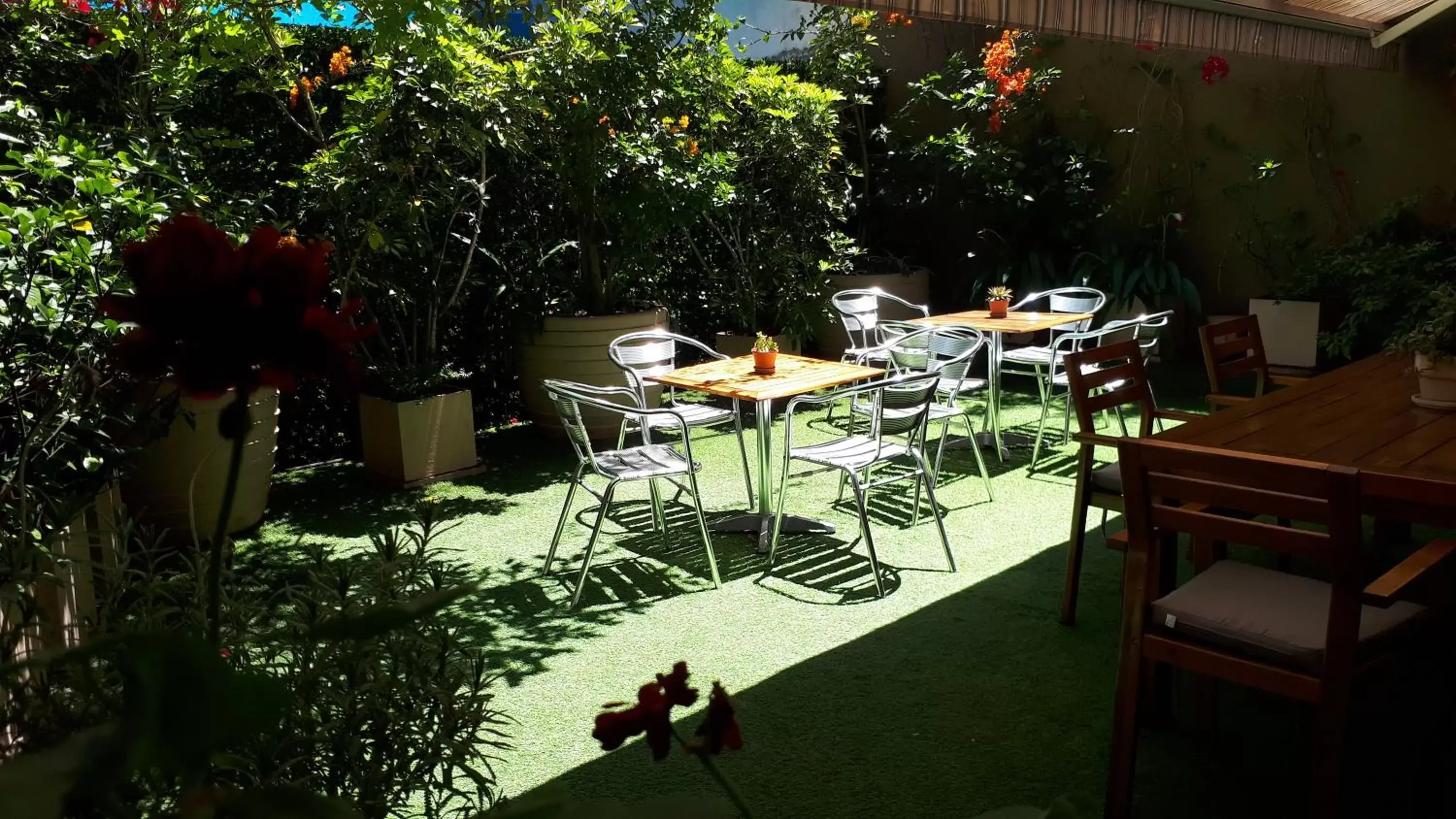 Patio, Restaurant/Places to Eat in 474 Buenos Aires Hotel