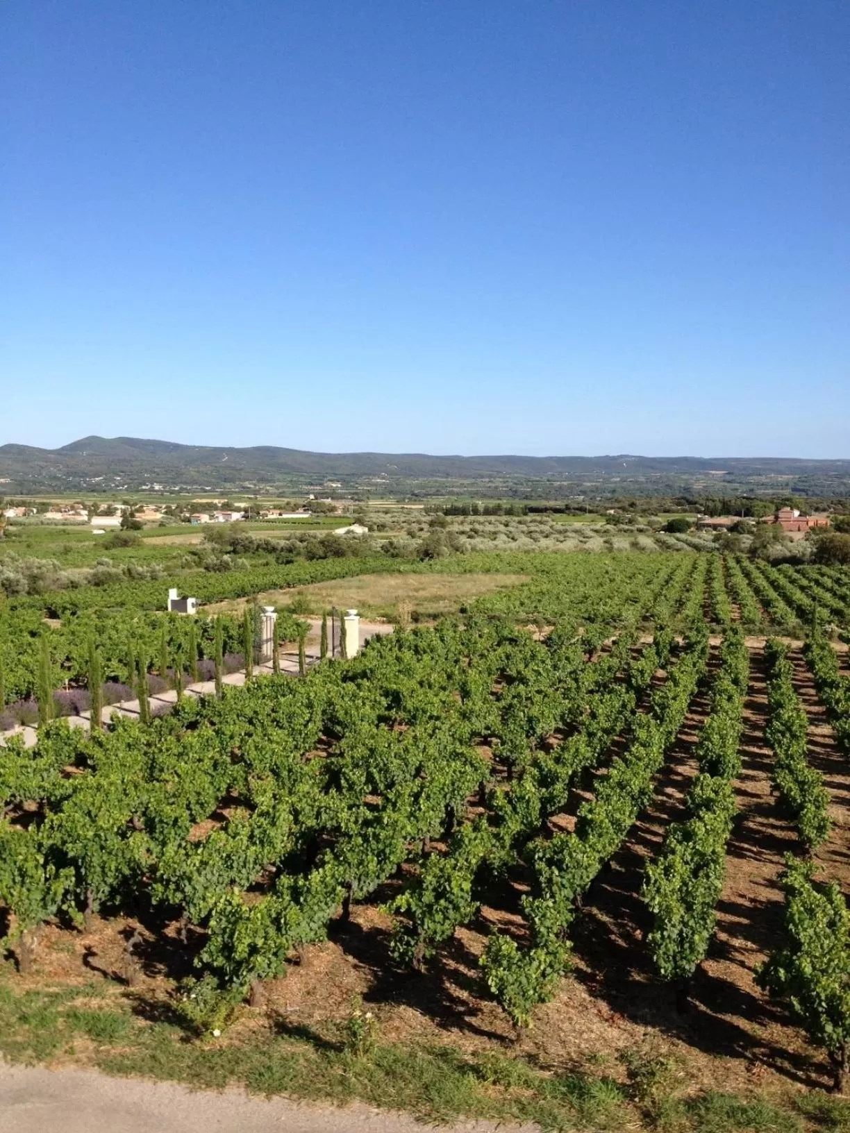 Day in Château de Valloubière