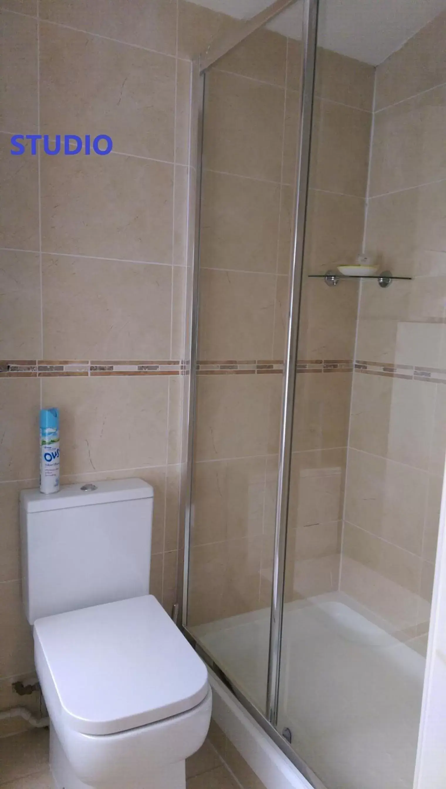 Shower, Bathroom in Edinburgh City Suites