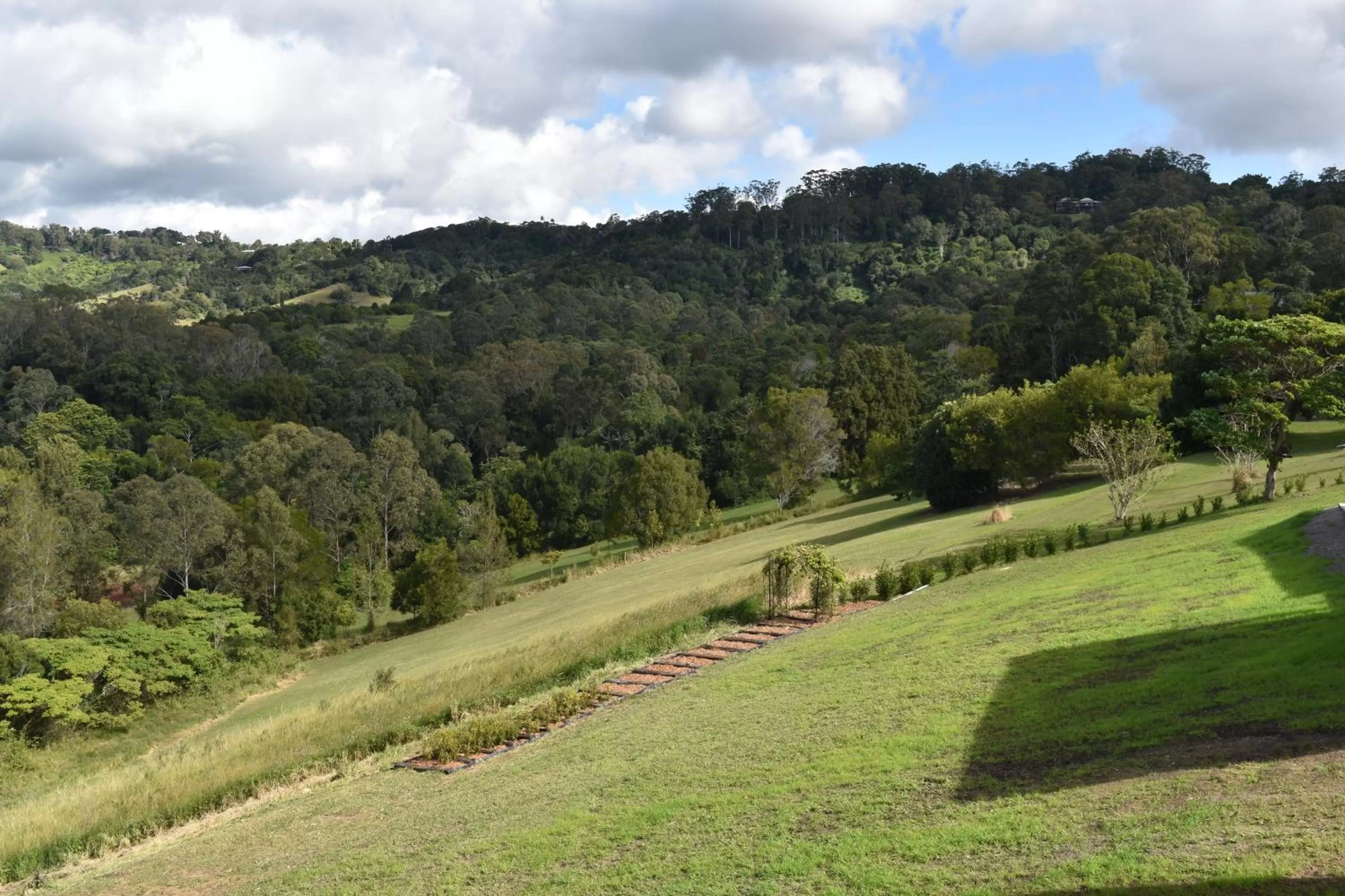 View (from property/room) in Mapleton Springs