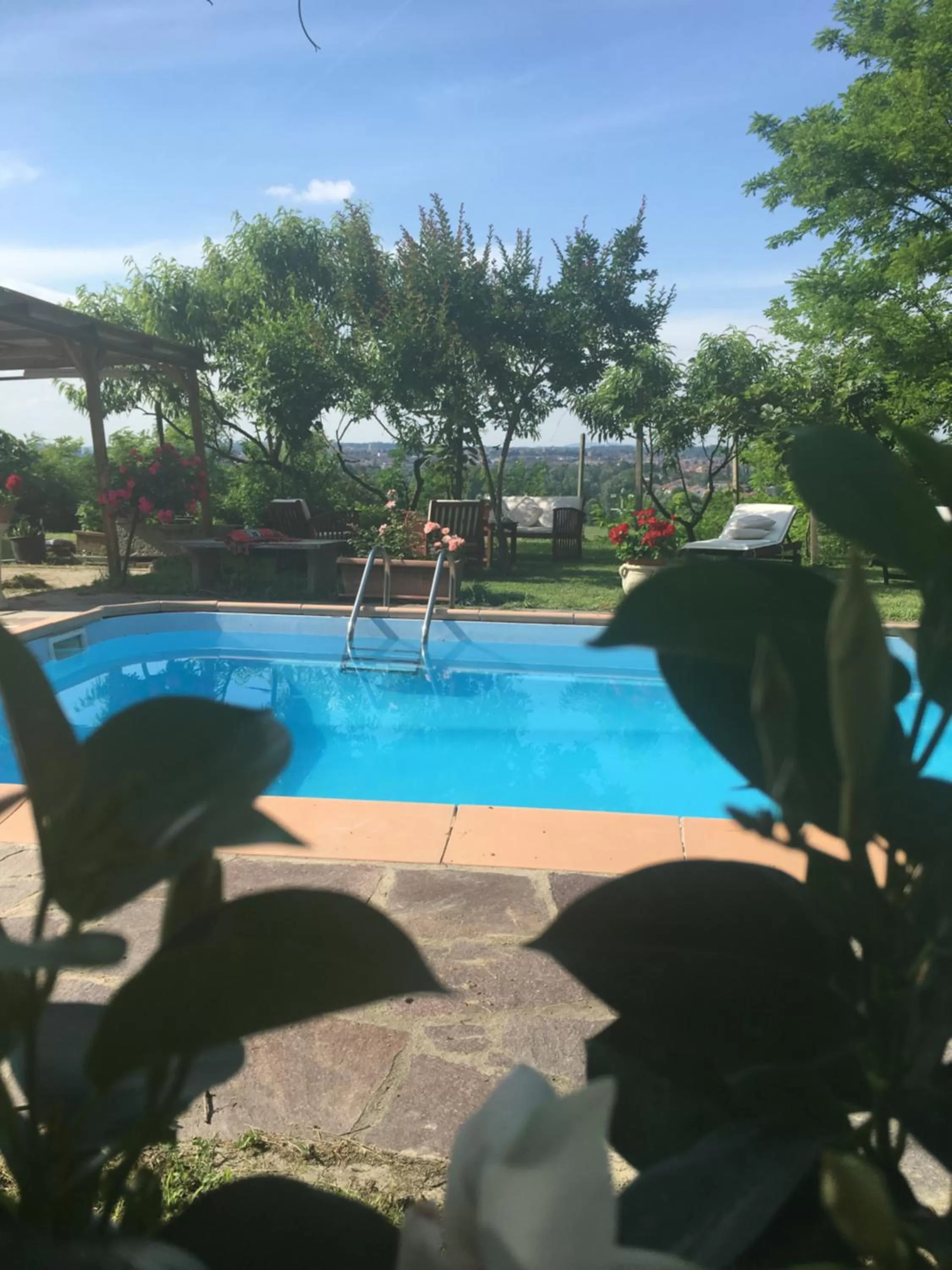 Rossella alla Villarella dei Tulipani